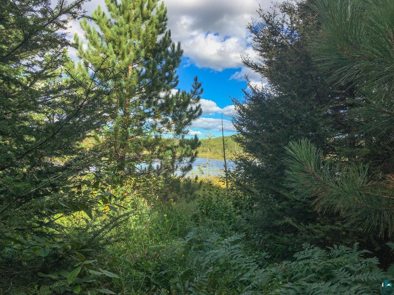 10350 Victor Lake Rd, Isabella, MN 55607 Listing Photo  37