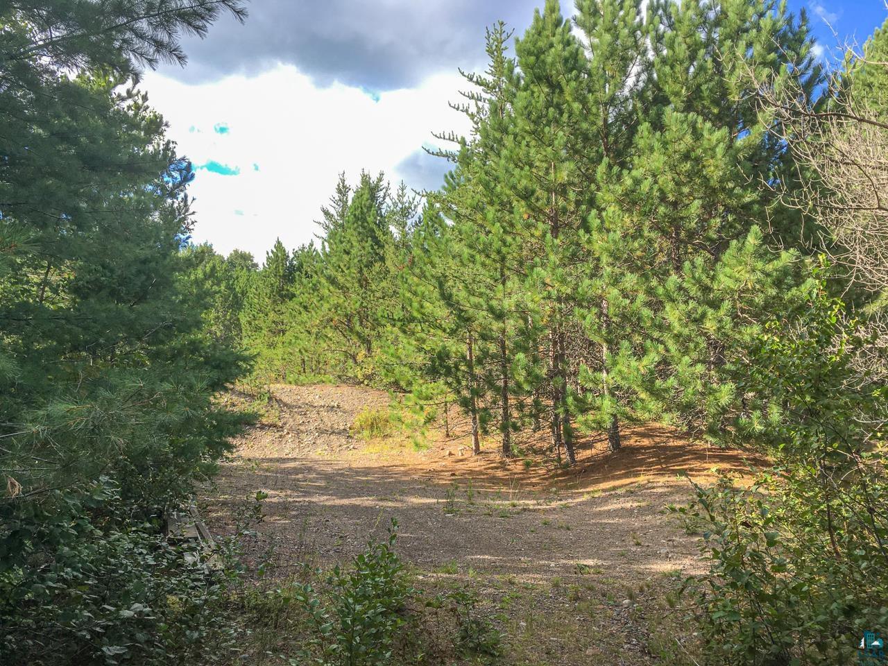 10350 Victor Lake Rd, Isabella, MN 55607 Listing Photo  38