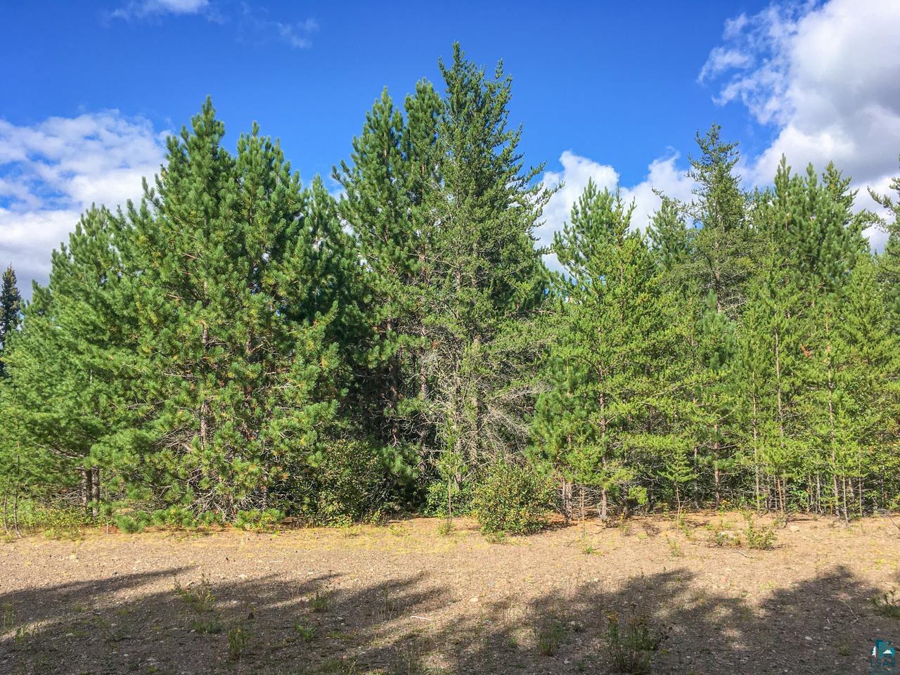 10350 Victor Lake Rd, Isabella, MN 55607 Listing Photo  42