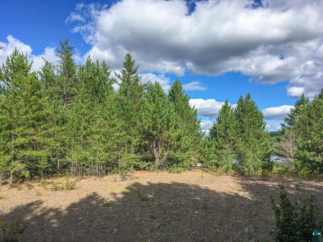 10350 Victor Lake Rd, Isabella, MN 55607 Listing Photo  43