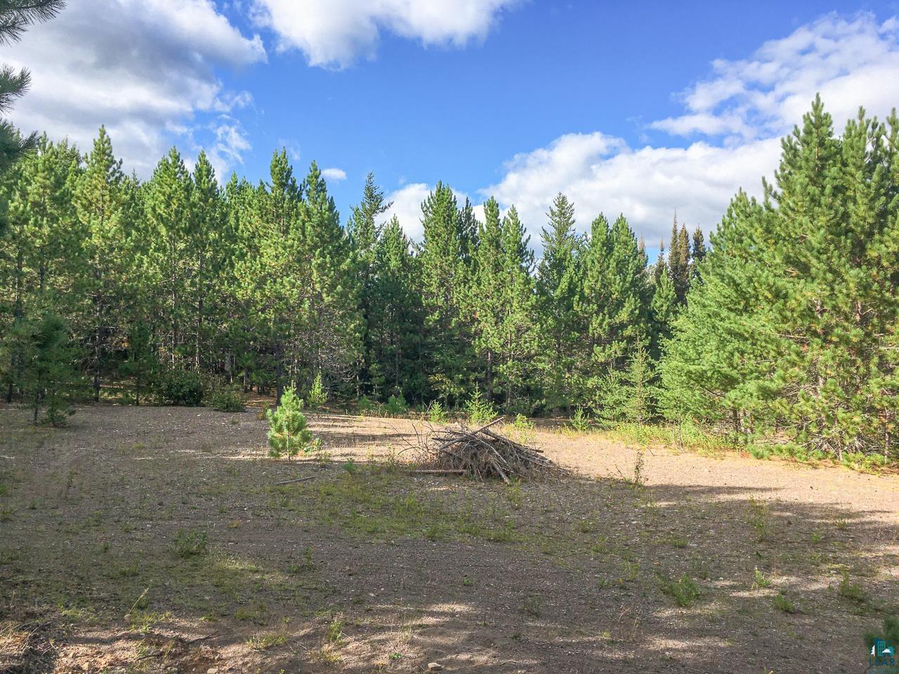 10350 Victor Lake Rd, Isabella, MN 55607 Listing Photo  44