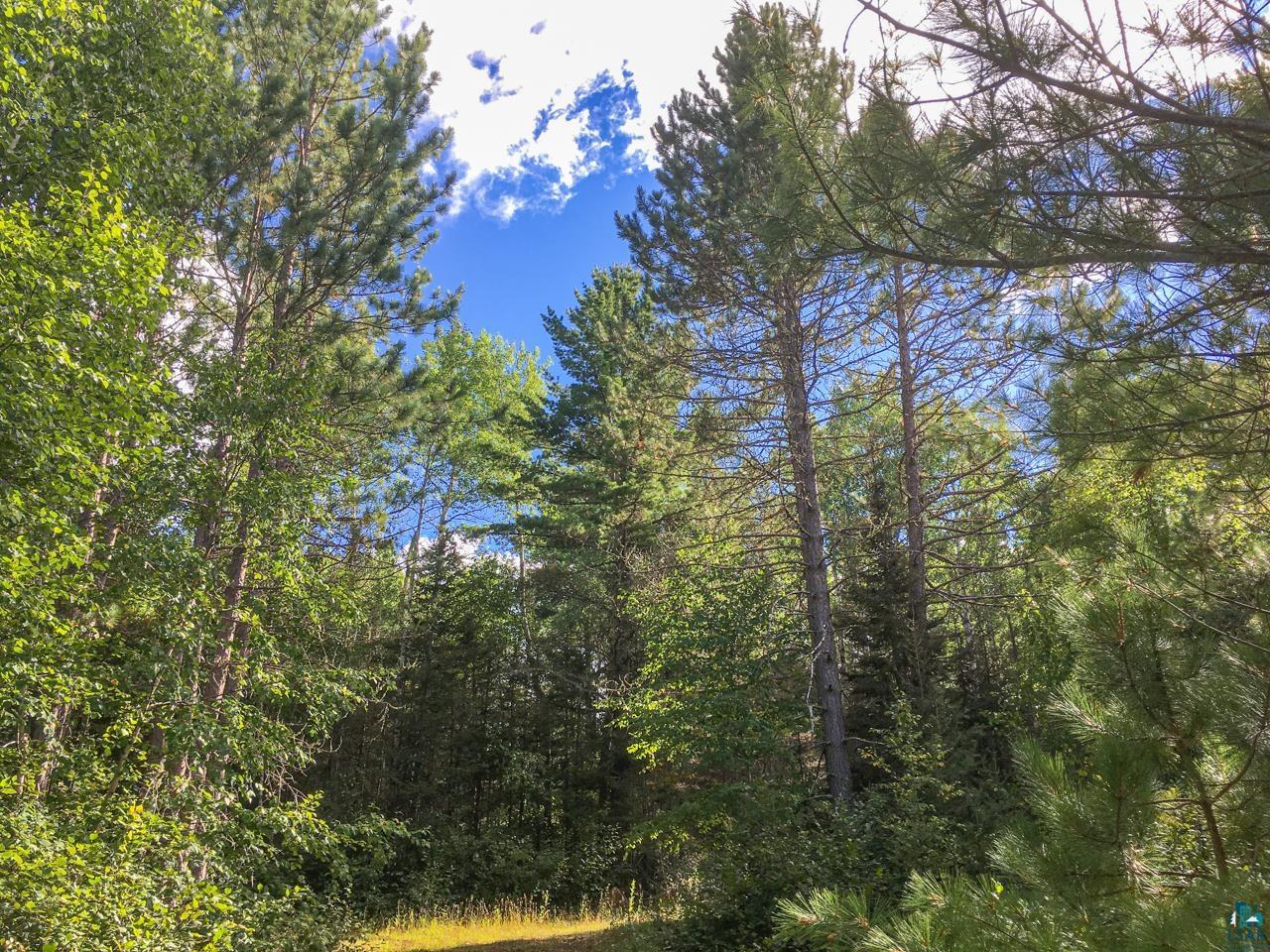 10350 Victor Lake Rd, Isabella, MN 55607 Listing Photo  46