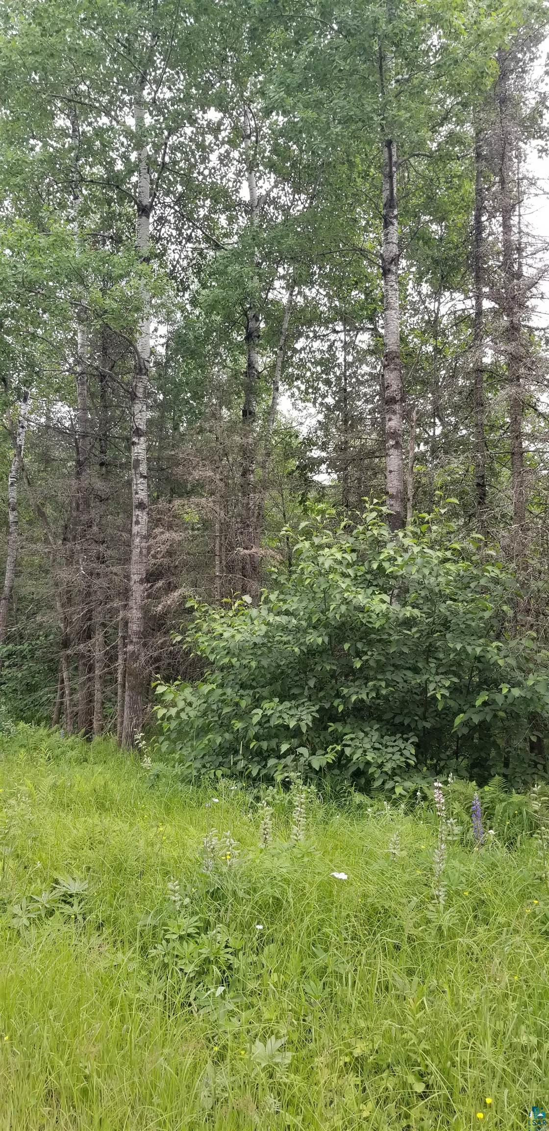 XXXX E Pioneer Jct Rd, Duluth, MN 55804 Listing Photo  6