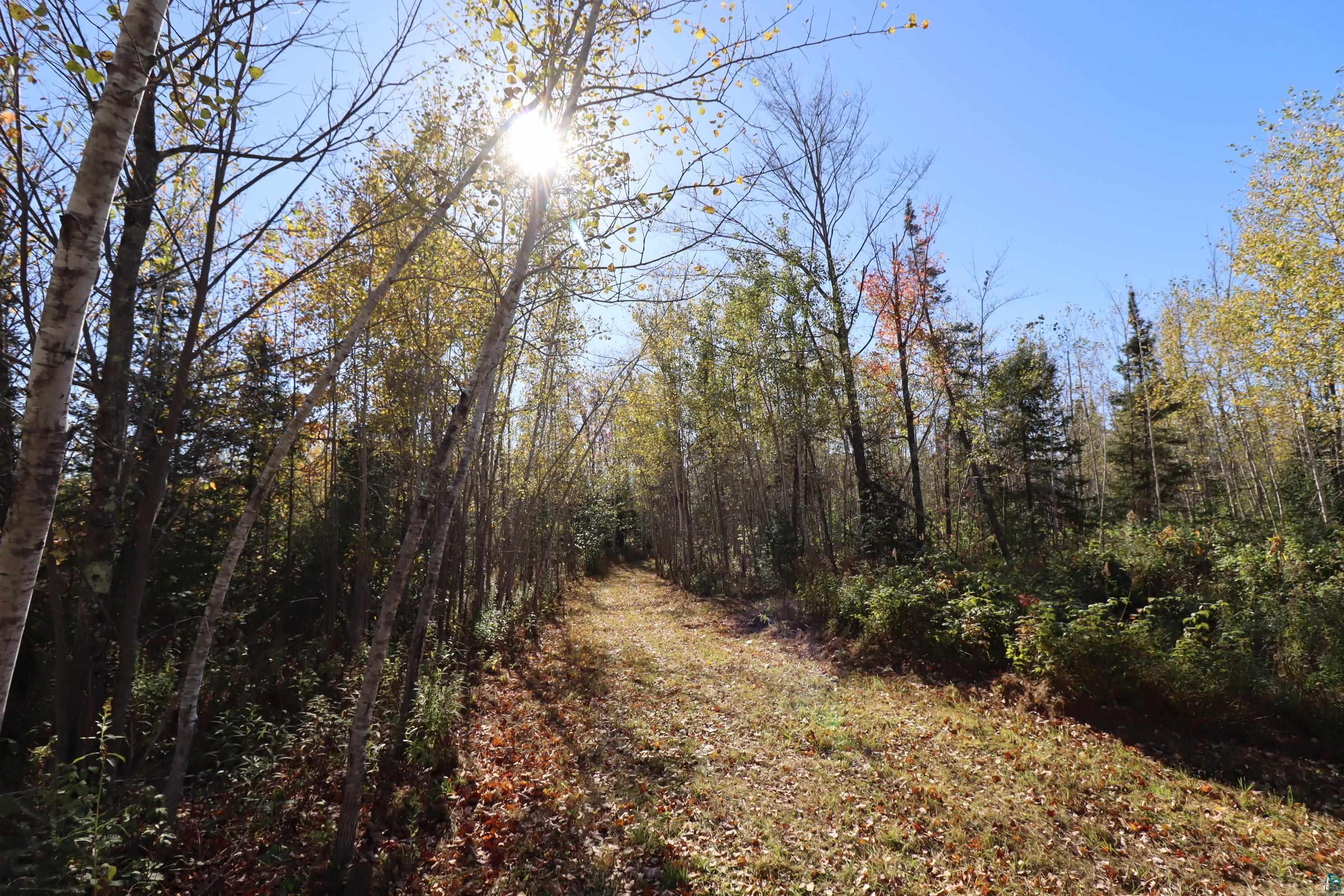 29235 Hagstrom Rd, Ashland, WI 54806 Listing Photo  57