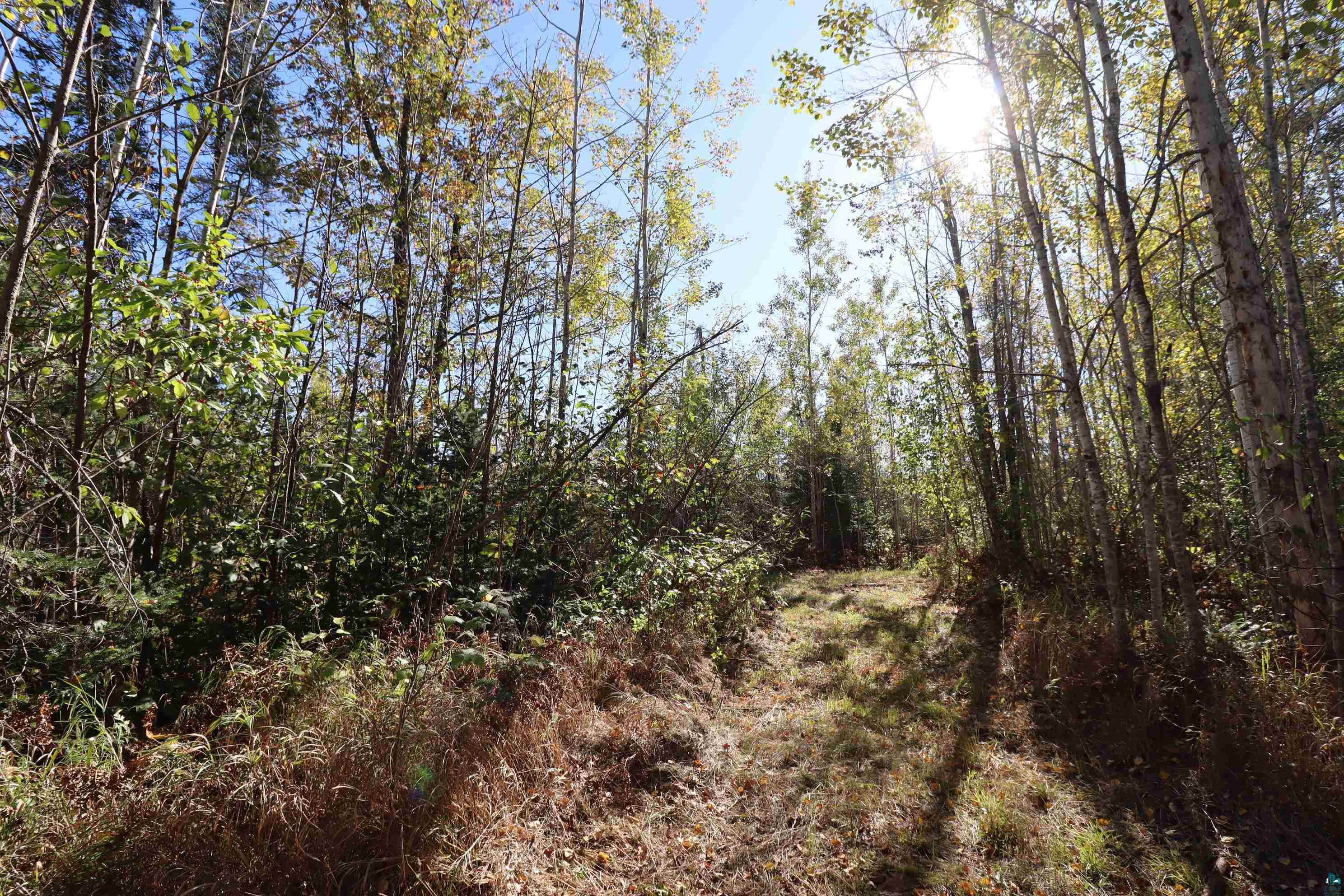 29235 Hagstrom Rd, Ashland, WI 54806 Listing Photo  70