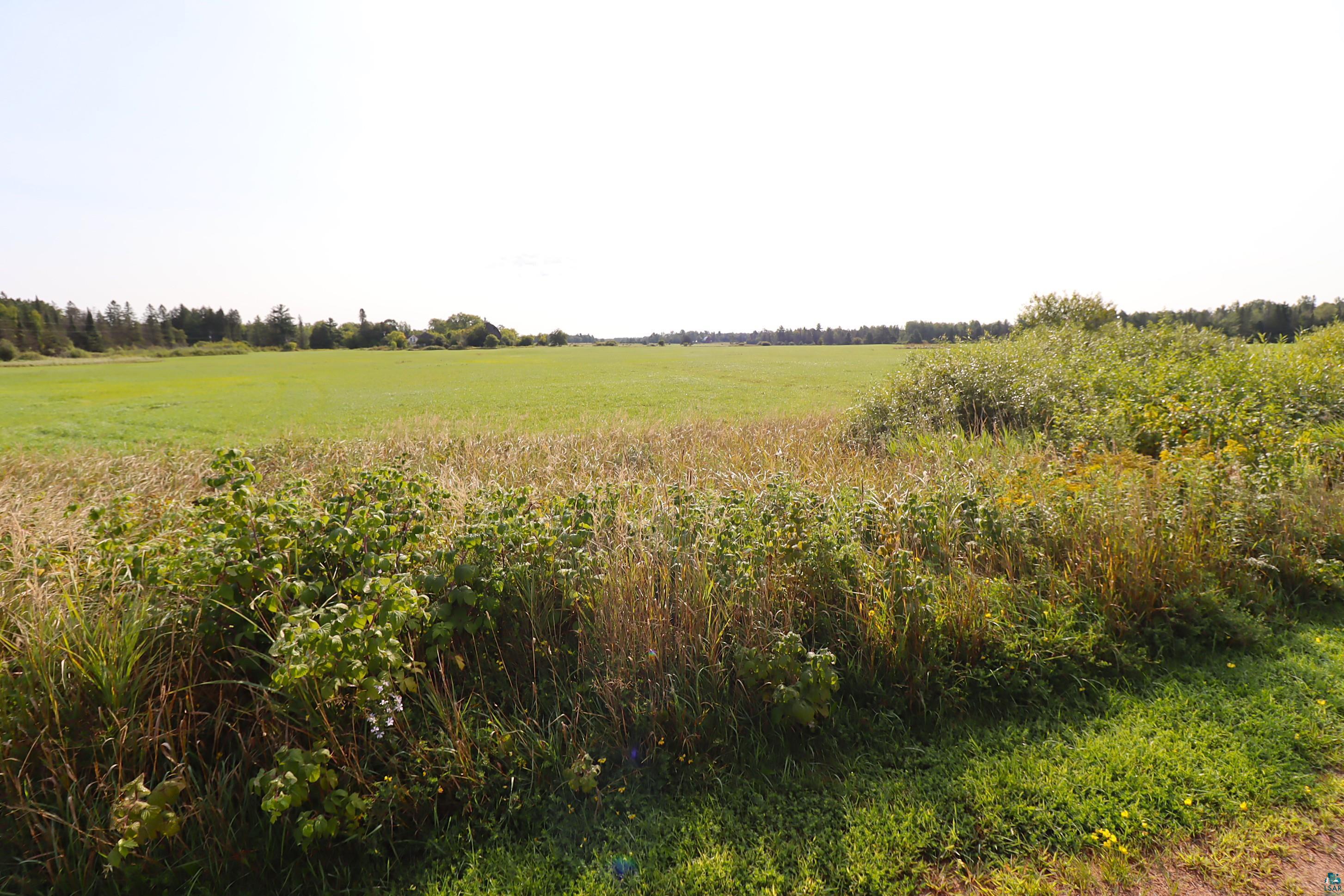29235 Hagstrom Rd, Ashland, WI 54806 Listing Photo  8