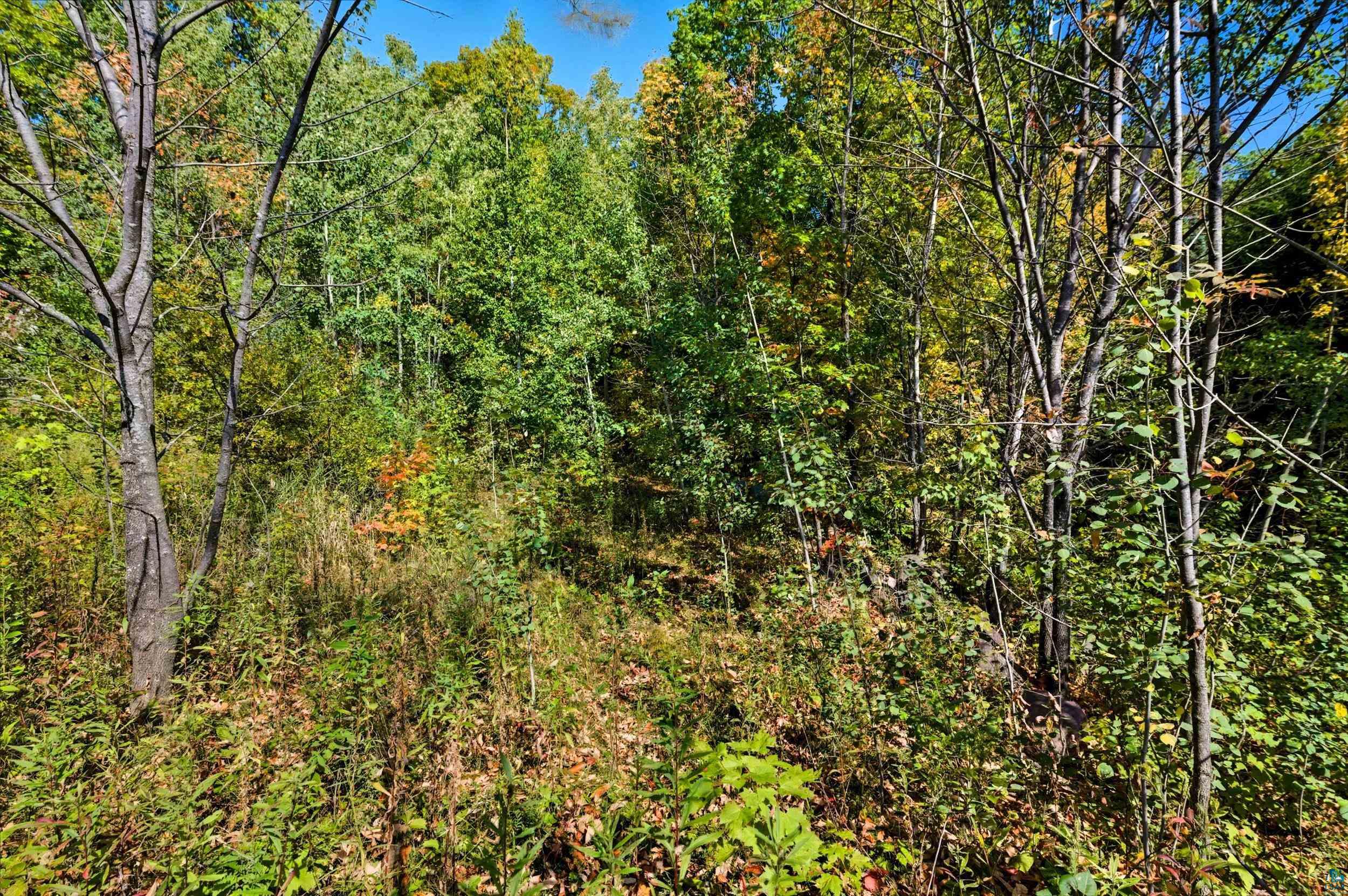 85XXX Apple Hill Rd, Bayfield, WI 54814 Listing Photo  16