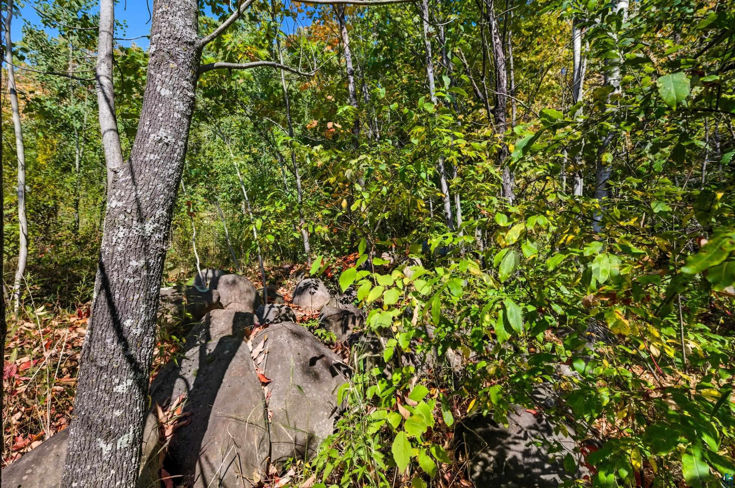 85XXX Apple Hill Rd, Bayfield, WI 54814 Listing Photo  18