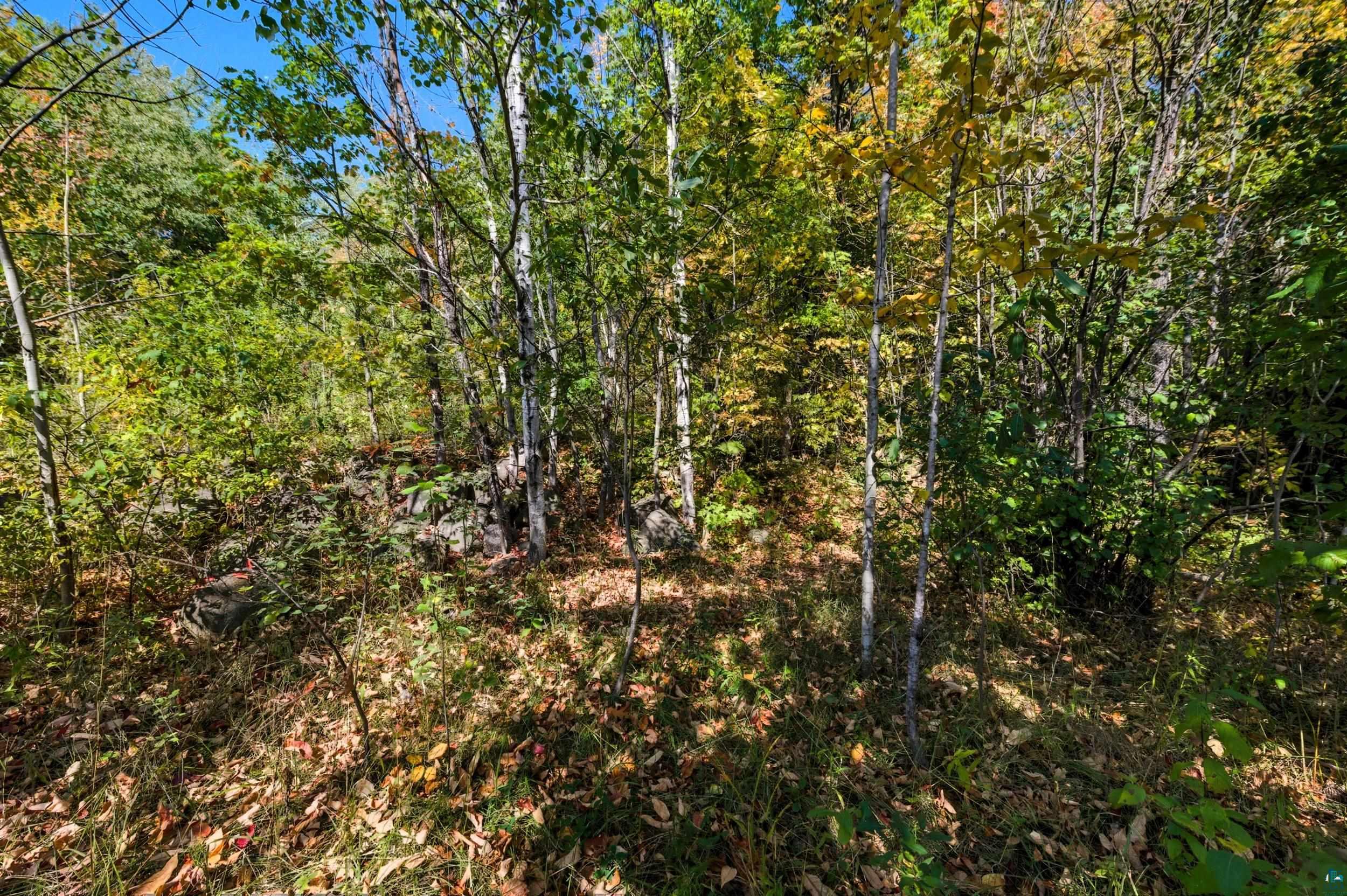 85XXX Apple Hill Rd, Bayfield, WI 54814 Listing Photo  19