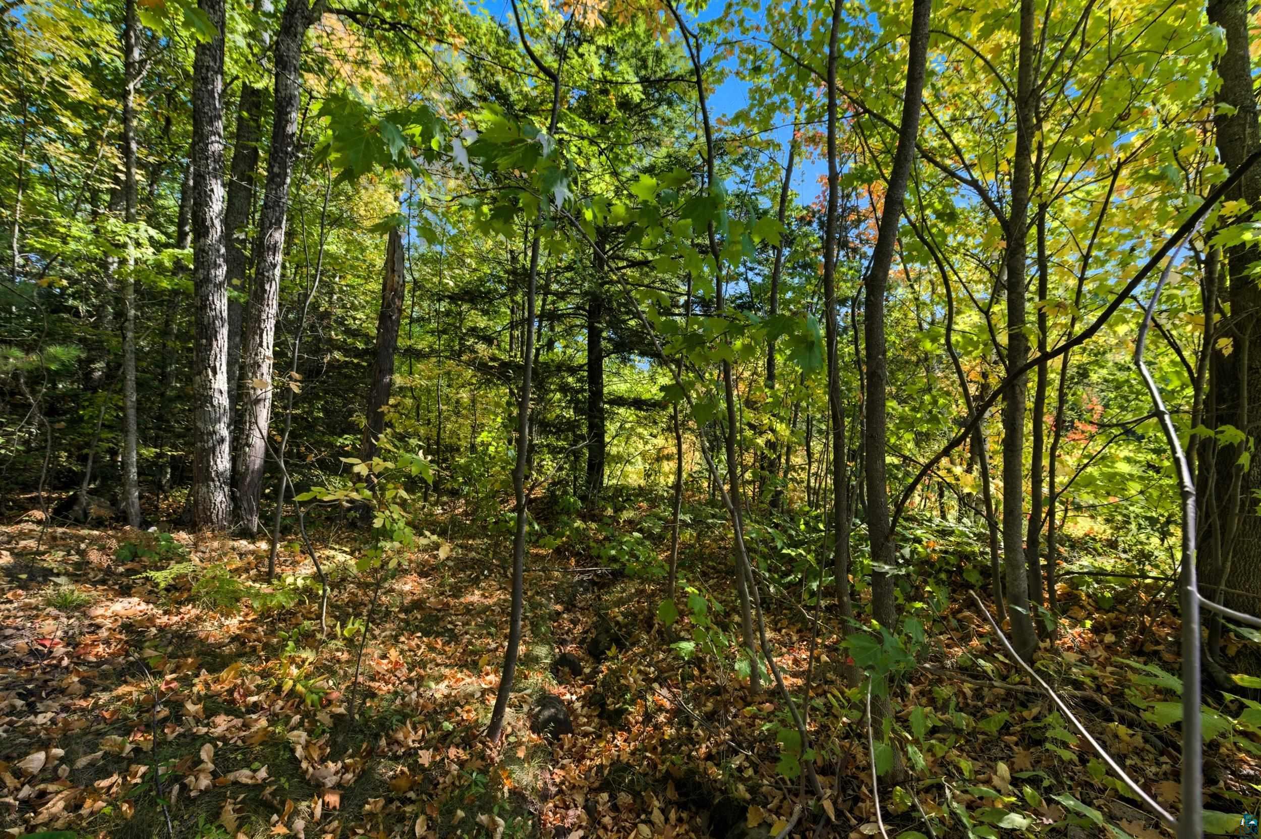85XXX Apple Hill Rd, Bayfield, WI 54814 Listing Photo  20