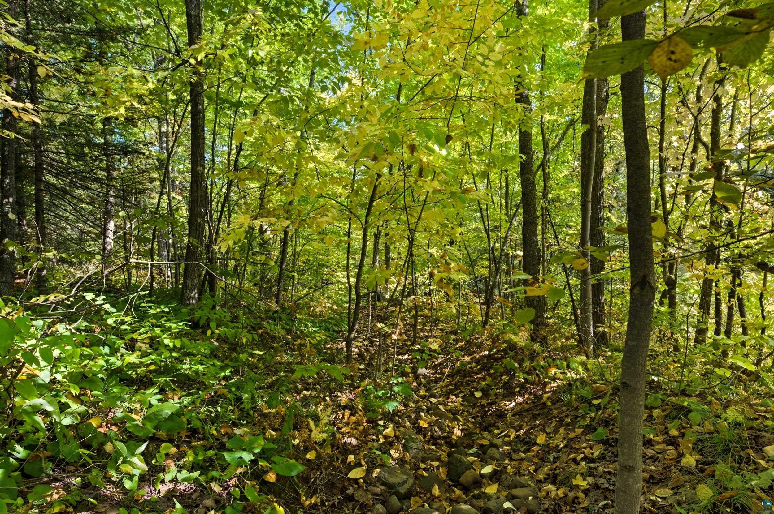 85XXX Apple Hill Rd, Bayfield, WI 54814 Listing Photo  21