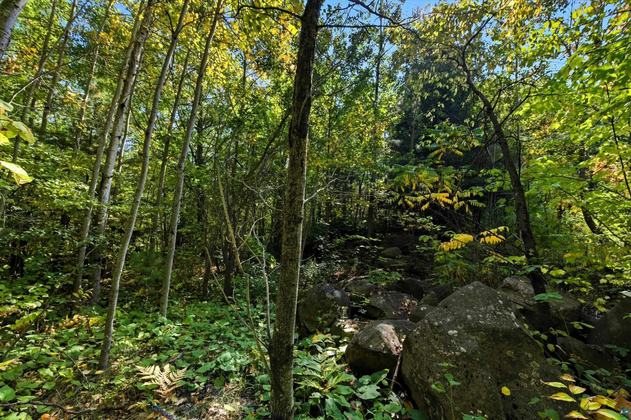 85XXX Apple Hill Rd, Bayfield, WI 54814 Listing Photo  22