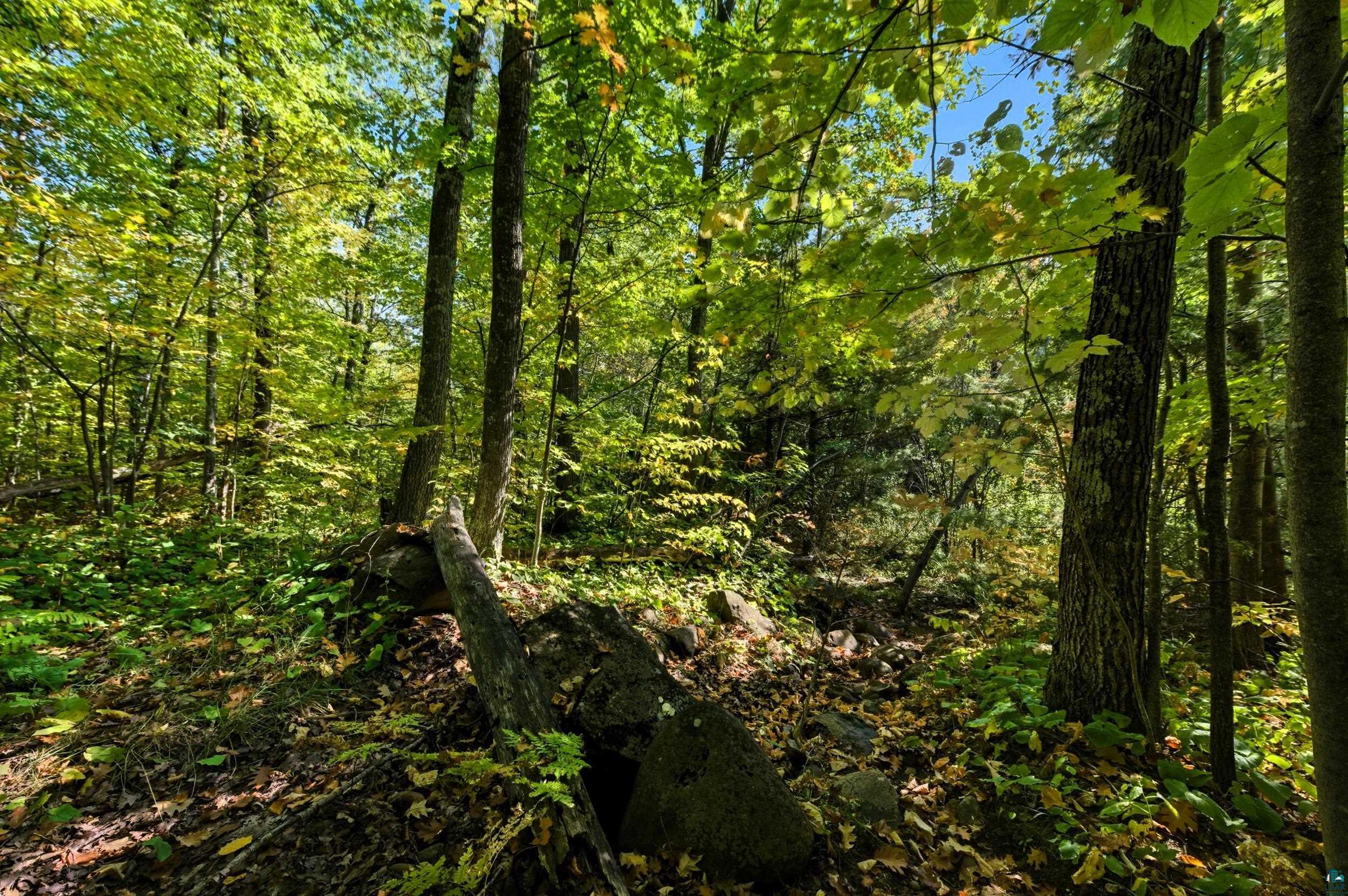 85XXX Apple Hill Rd, Bayfield, WI 54814 Listing Photo  23