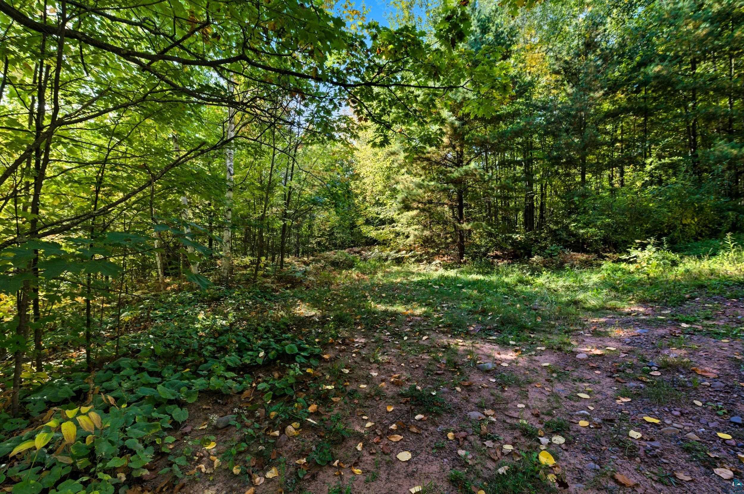 85XXX Apple Hill Rd, Bayfield, WI 54814 Listing Photo  6
