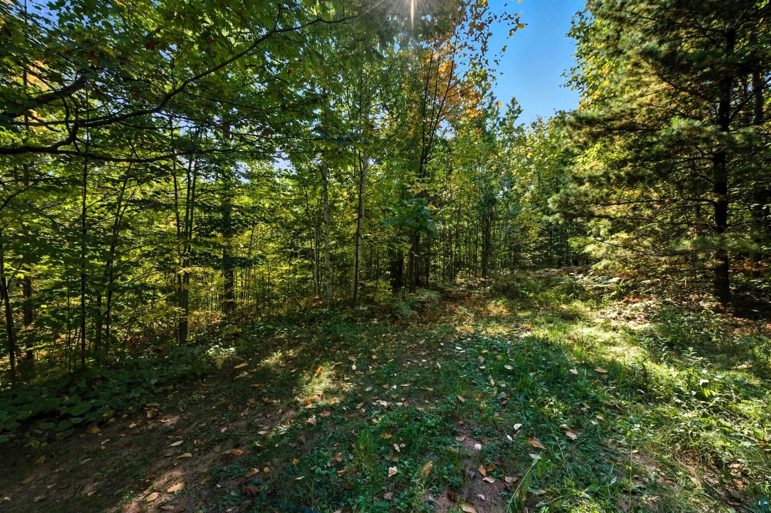 85XXX Apple Hill Rd, Bayfield, WI 54814 Listing Photo  8