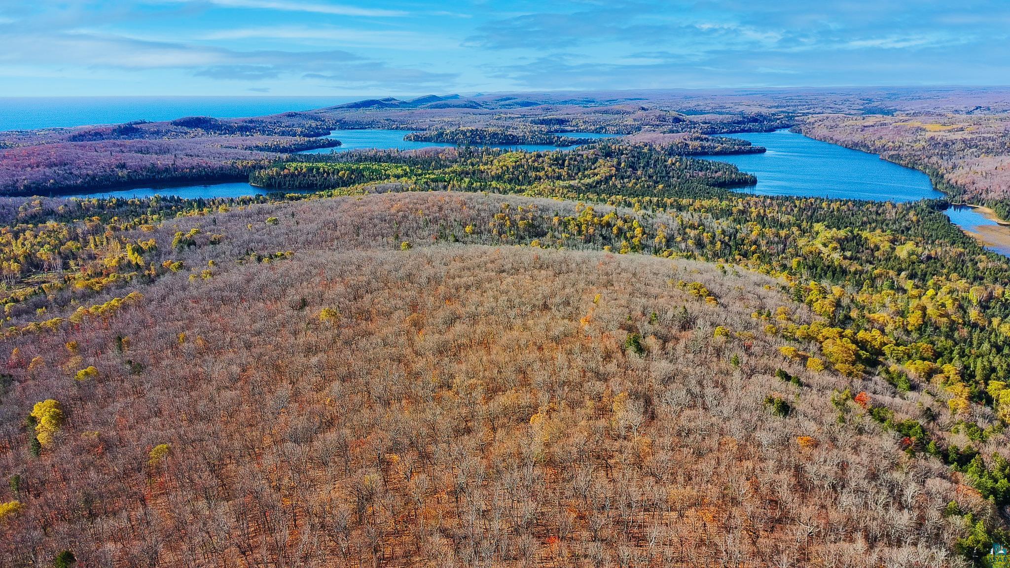 xx W Deeryard Lake Rd, Lutsen, MN 55612 Listing Photo  2