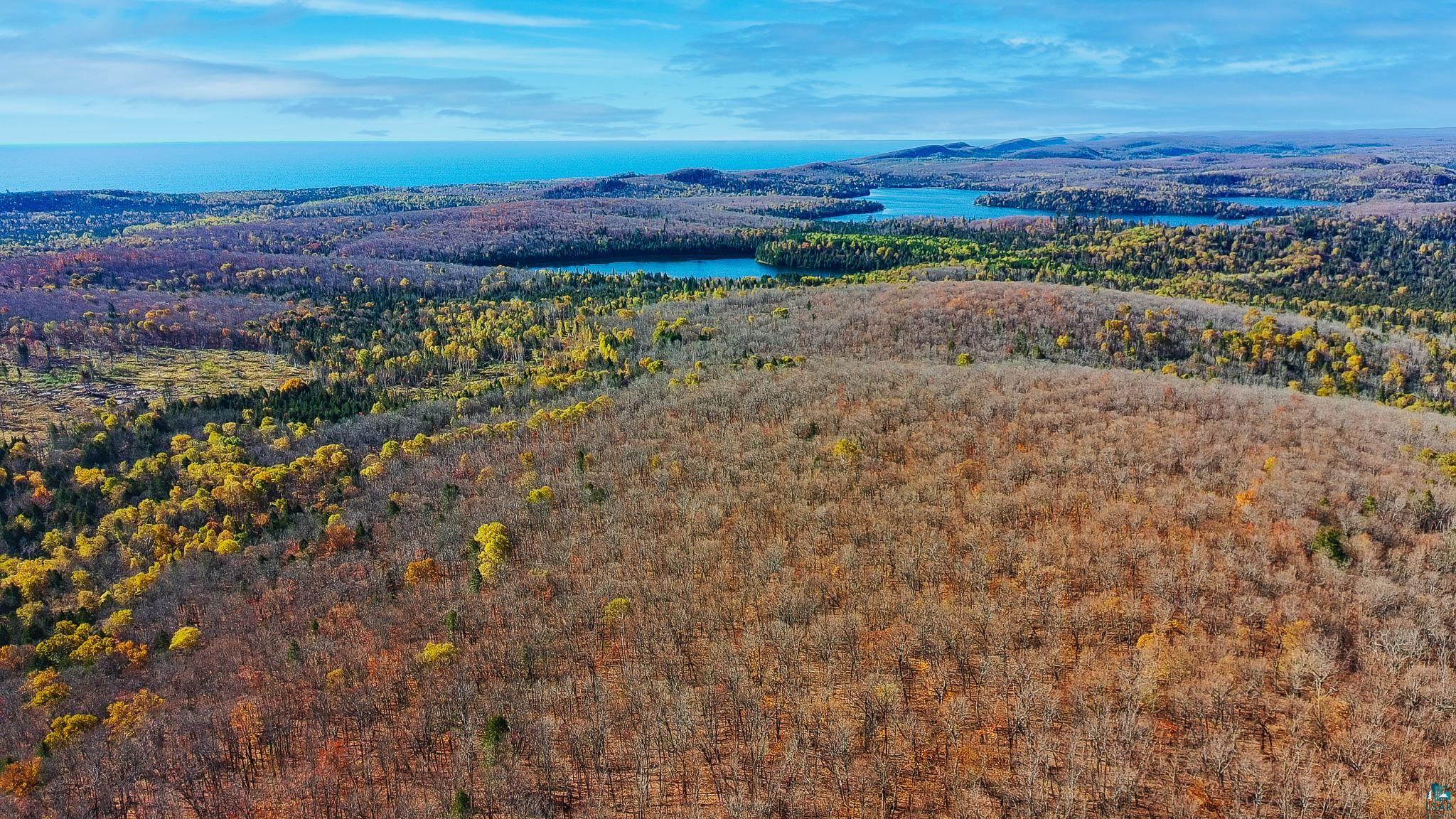 xx W Deeryard Lake Rd, Lutsen, MN 55612 Listing Photo  3