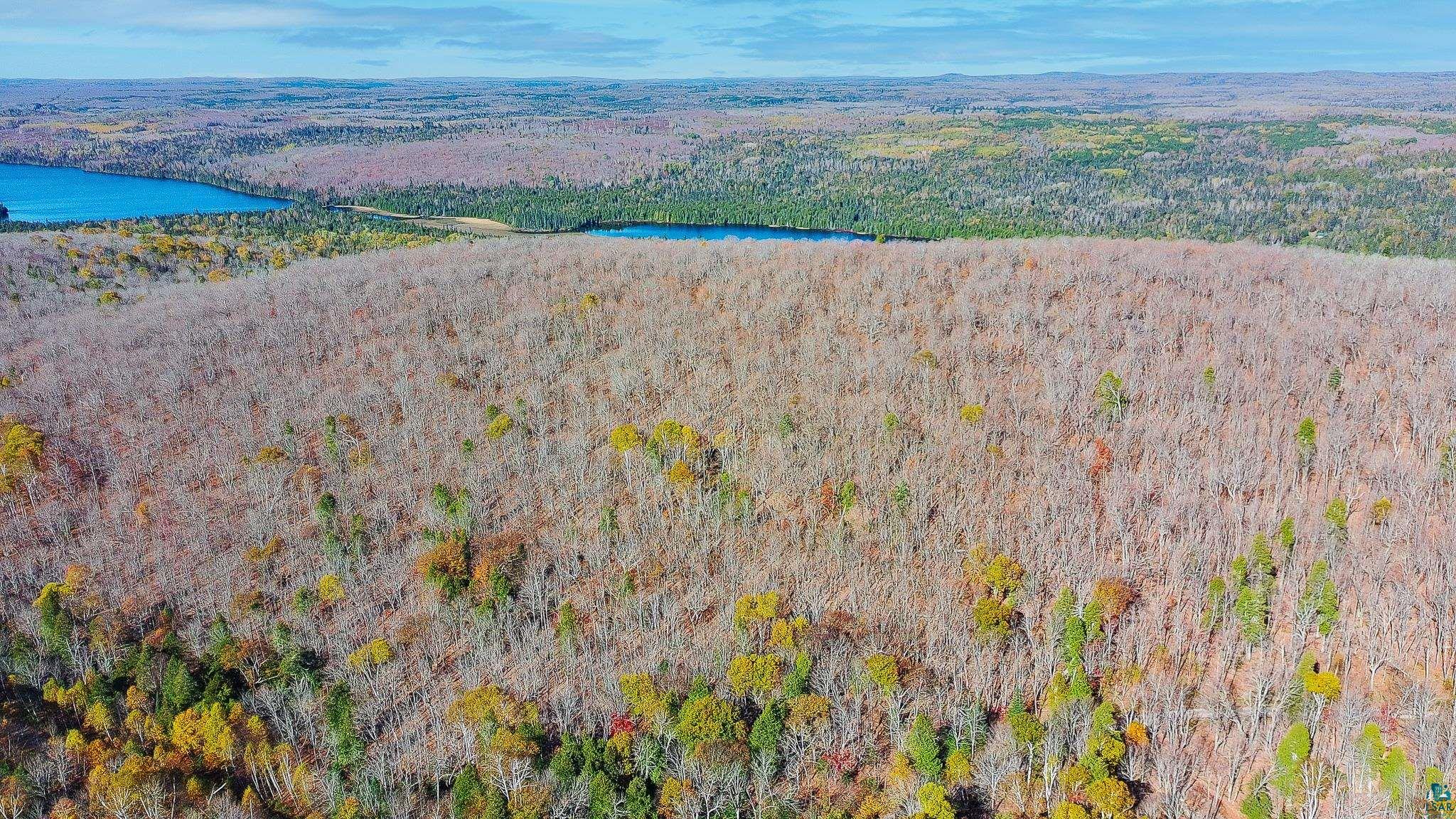 xx W Deeryard Lake Rd, Lutsen, MN 55612 Listing Photo  4