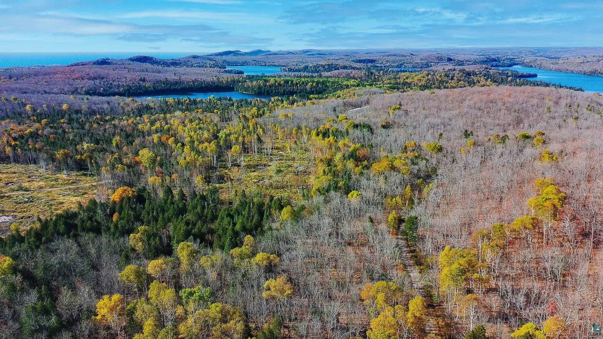 xx W Deeryard Lake Rd, Lutsen, MN 55612 Listing Photo  5