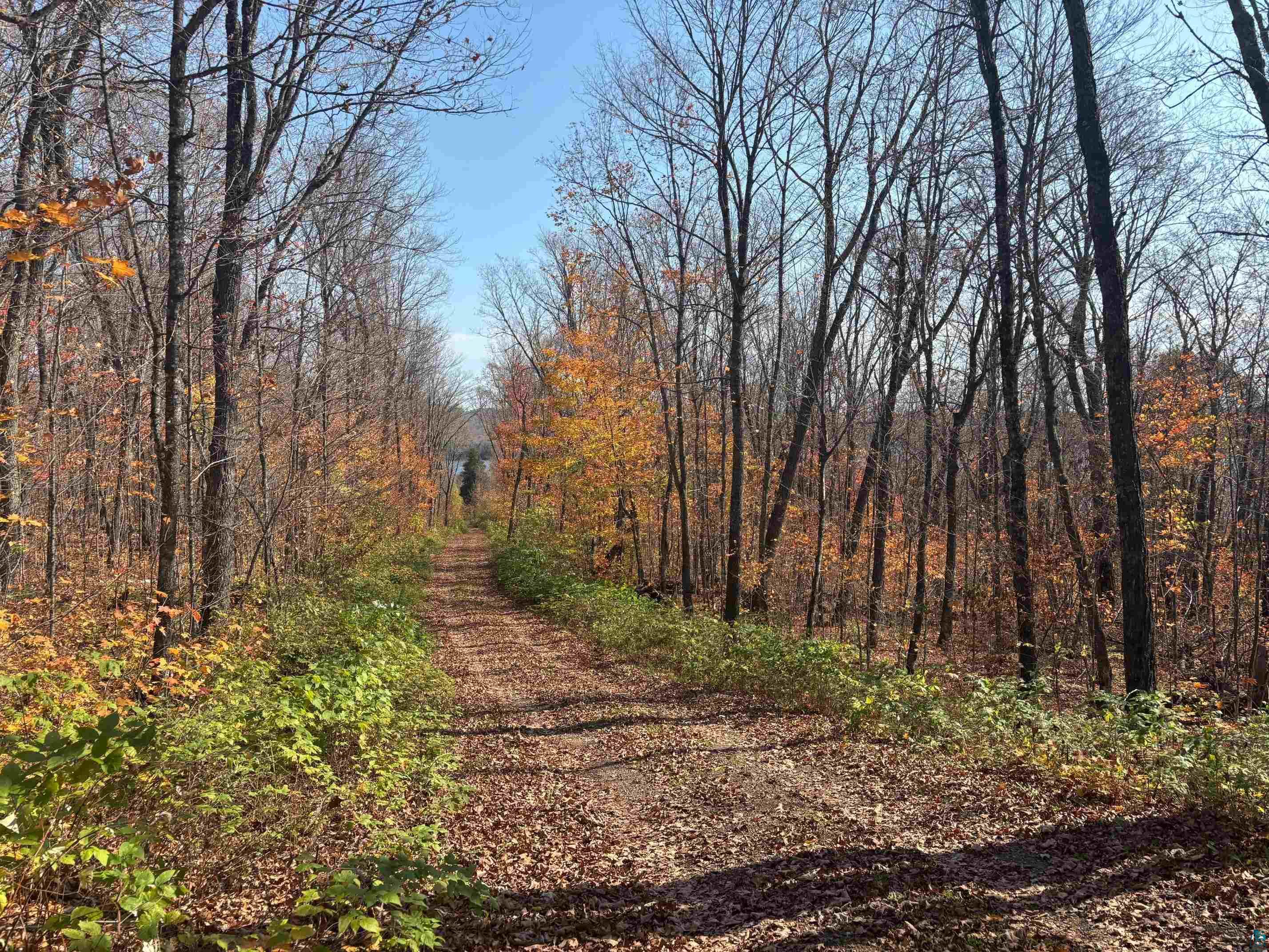 xx W Deeryard Lake Rd, Lutsen, MN 55612 Listing Photo  9