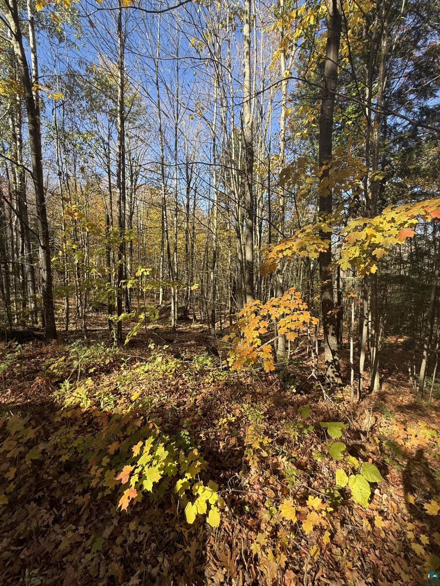 0000 Ashland Bayfield Rd, Ashland, WI 54806 Listing Photo  4