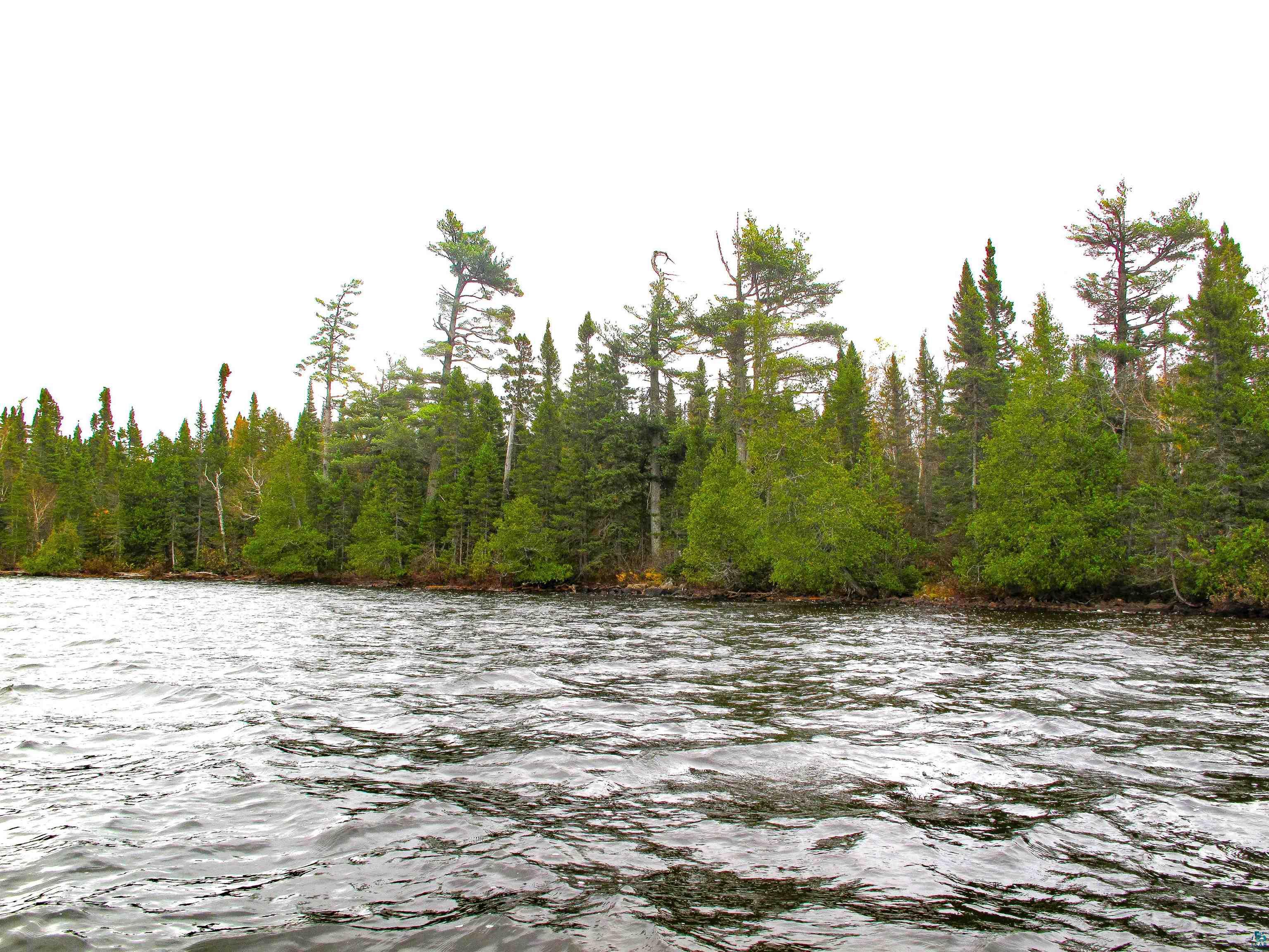 Lot 3 Fullerton Rd, Hovland, MN 55606 Listing Photo  20
