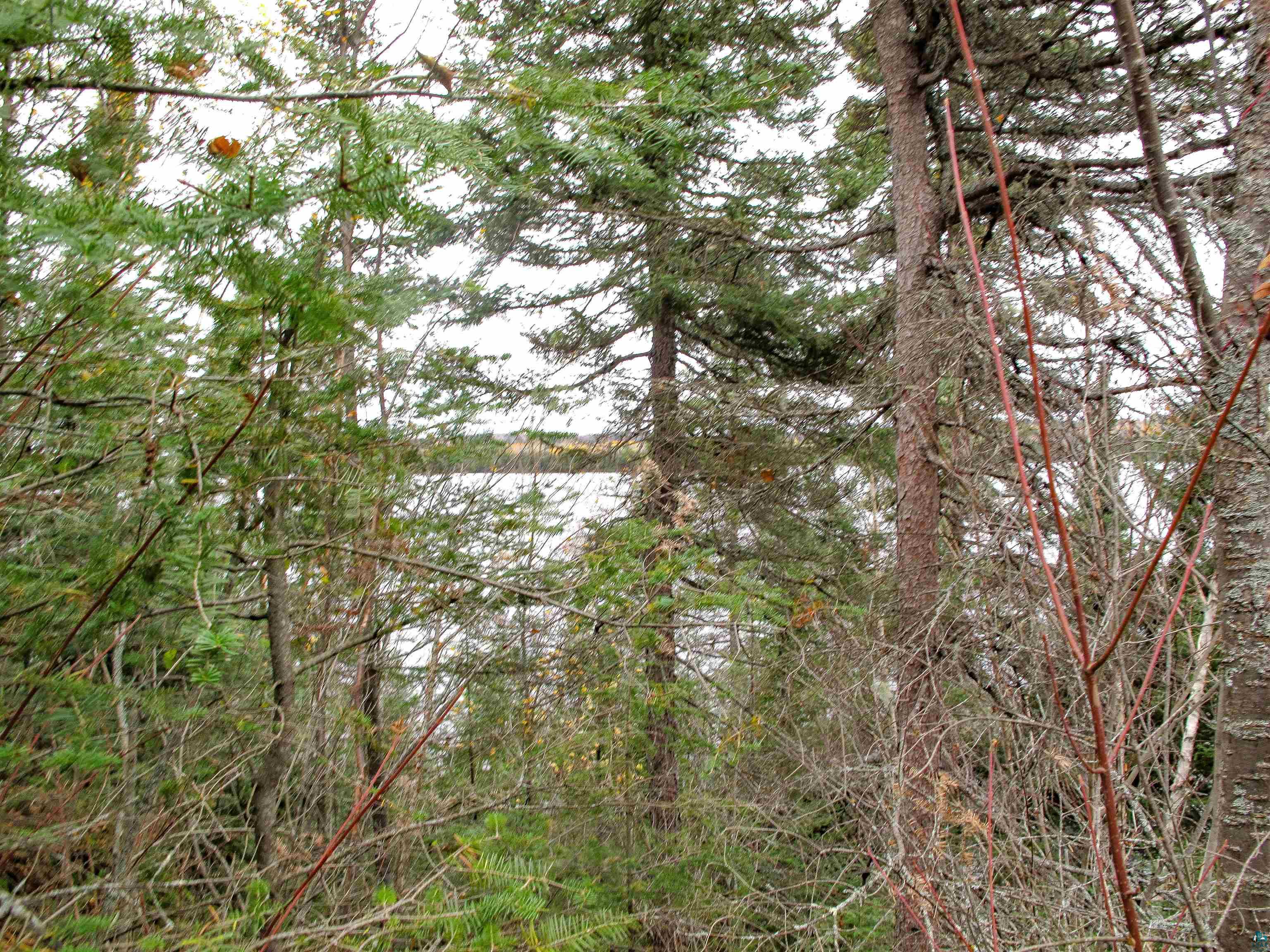 Lot 3 Fullerton Rd, Hovland, MN 55606 Listing Photo  29
