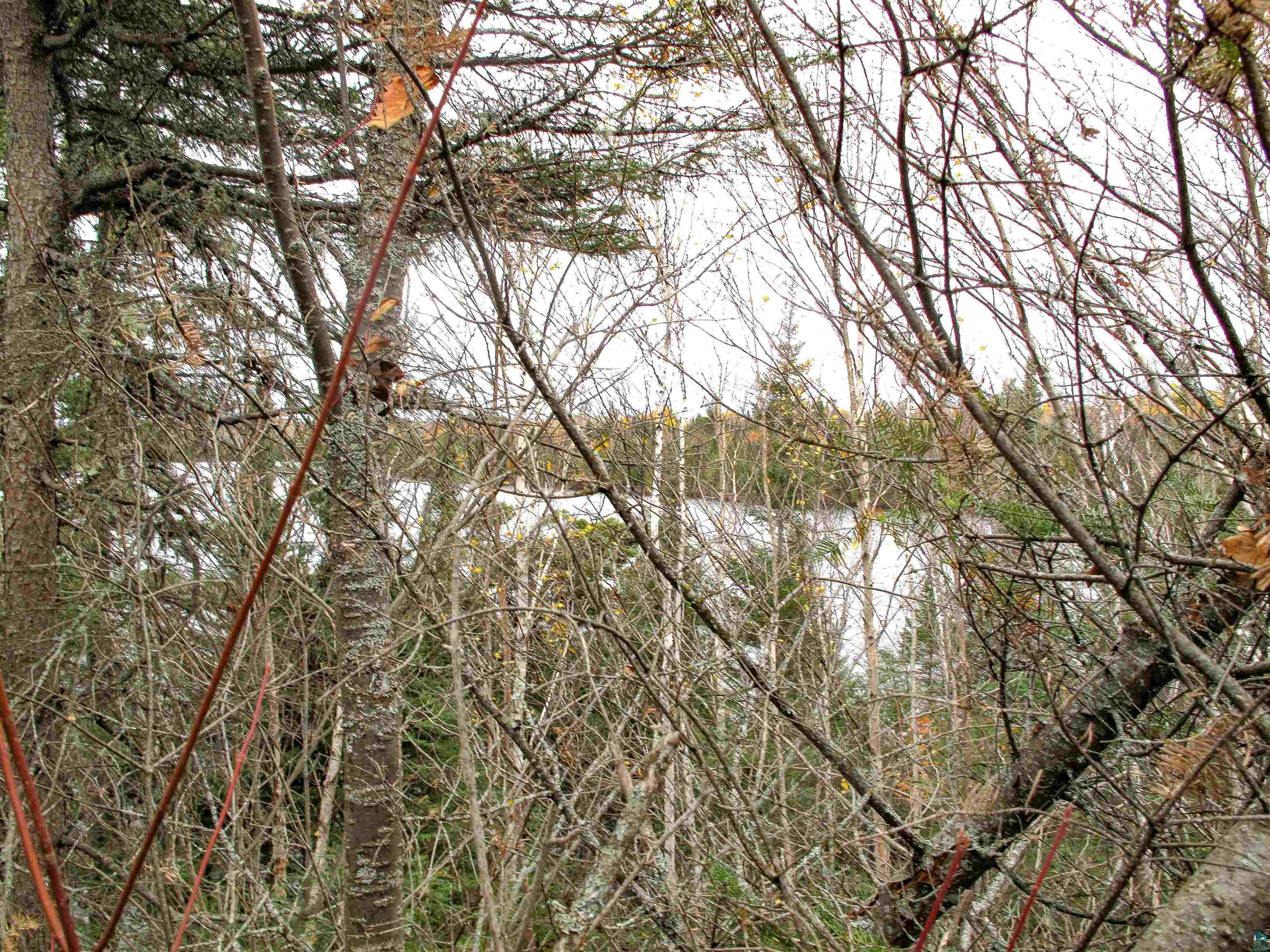 Lot 3 Fullerton Rd, Hovland, MN 55606 Listing Photo  30