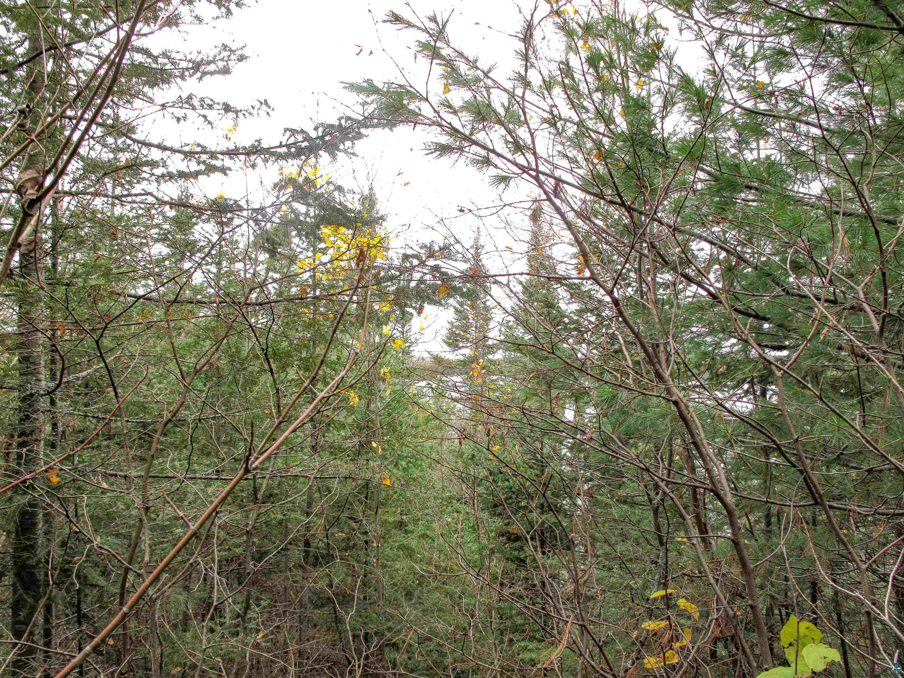 Lot 3 Fullerton Rd, Hovland, MN 55606 Listing Photo  31