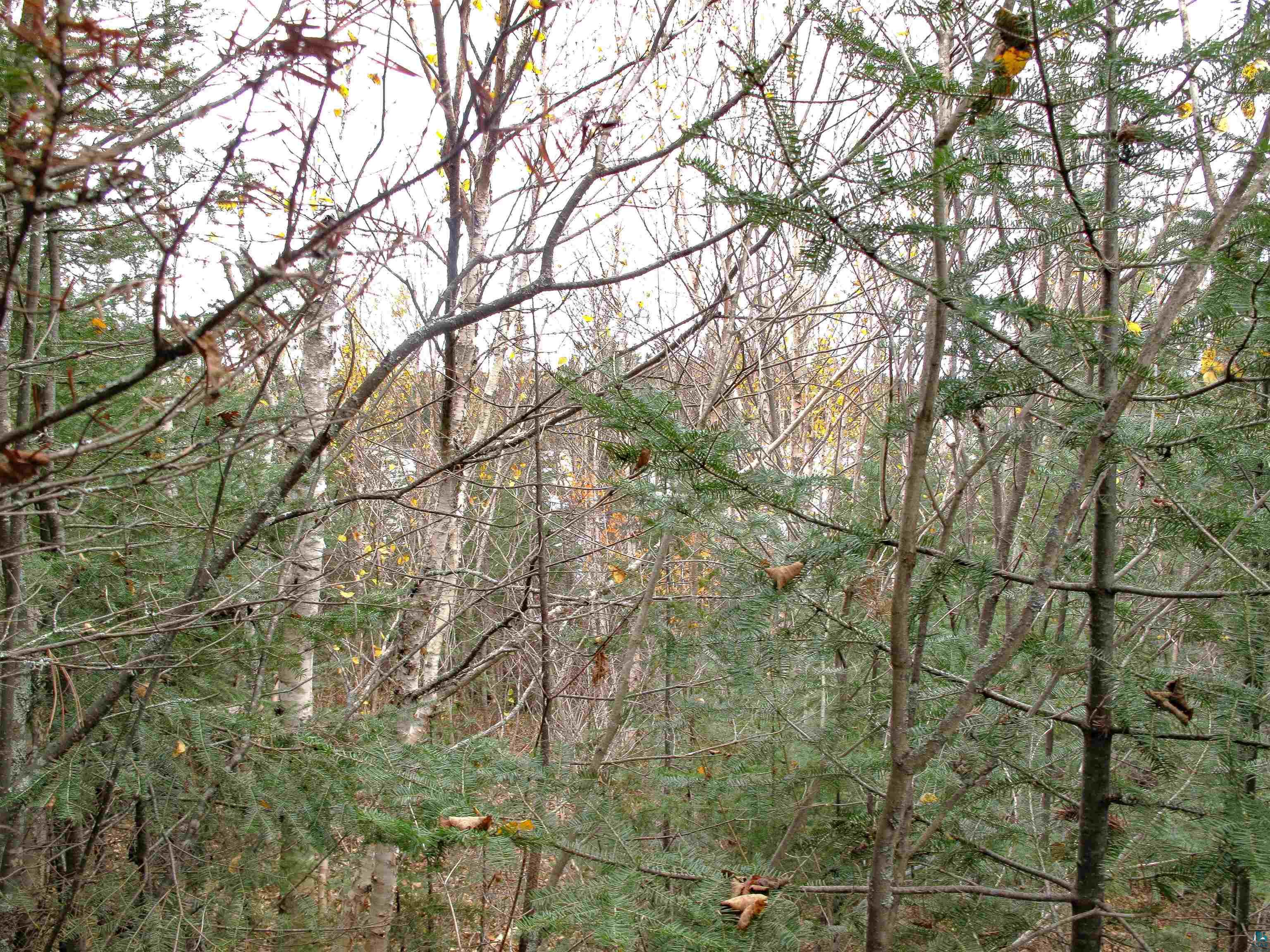 Lot 3 Fullerton Rd, Hovland, MN 55606 Listing Photo  32
