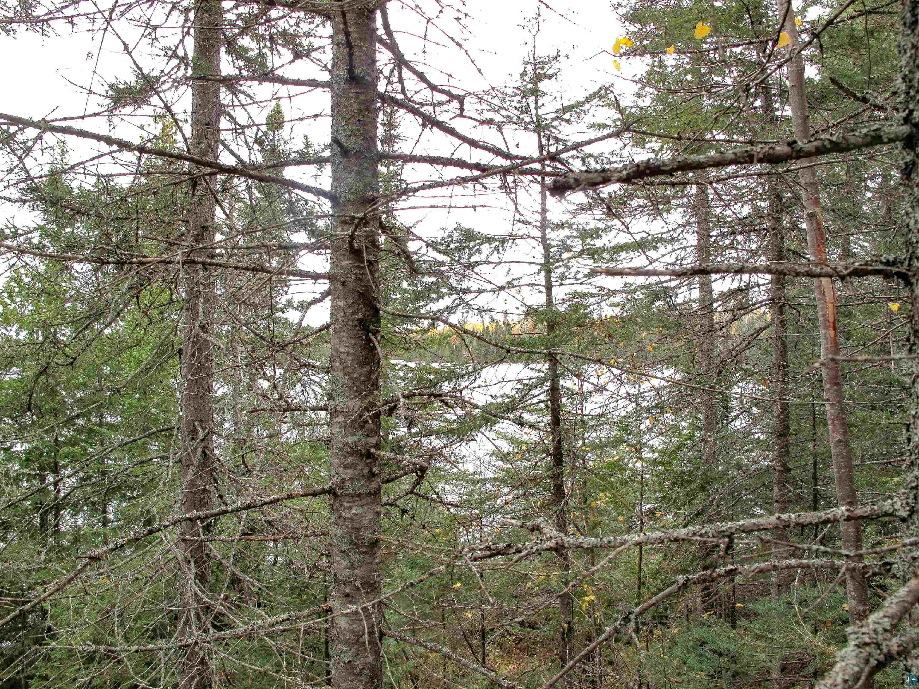 Lot 3 Fullerton Rd, Hovland, MN 55606 Listing Photo  33