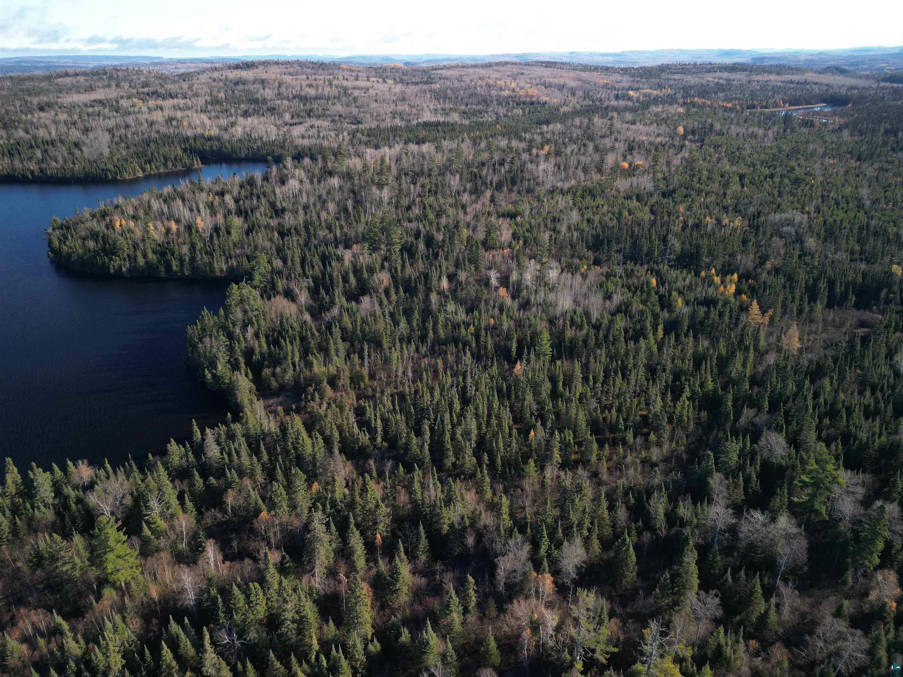 Lot 3 Fullerton Rd, Hovland, MN 55606 Listing Photo  8