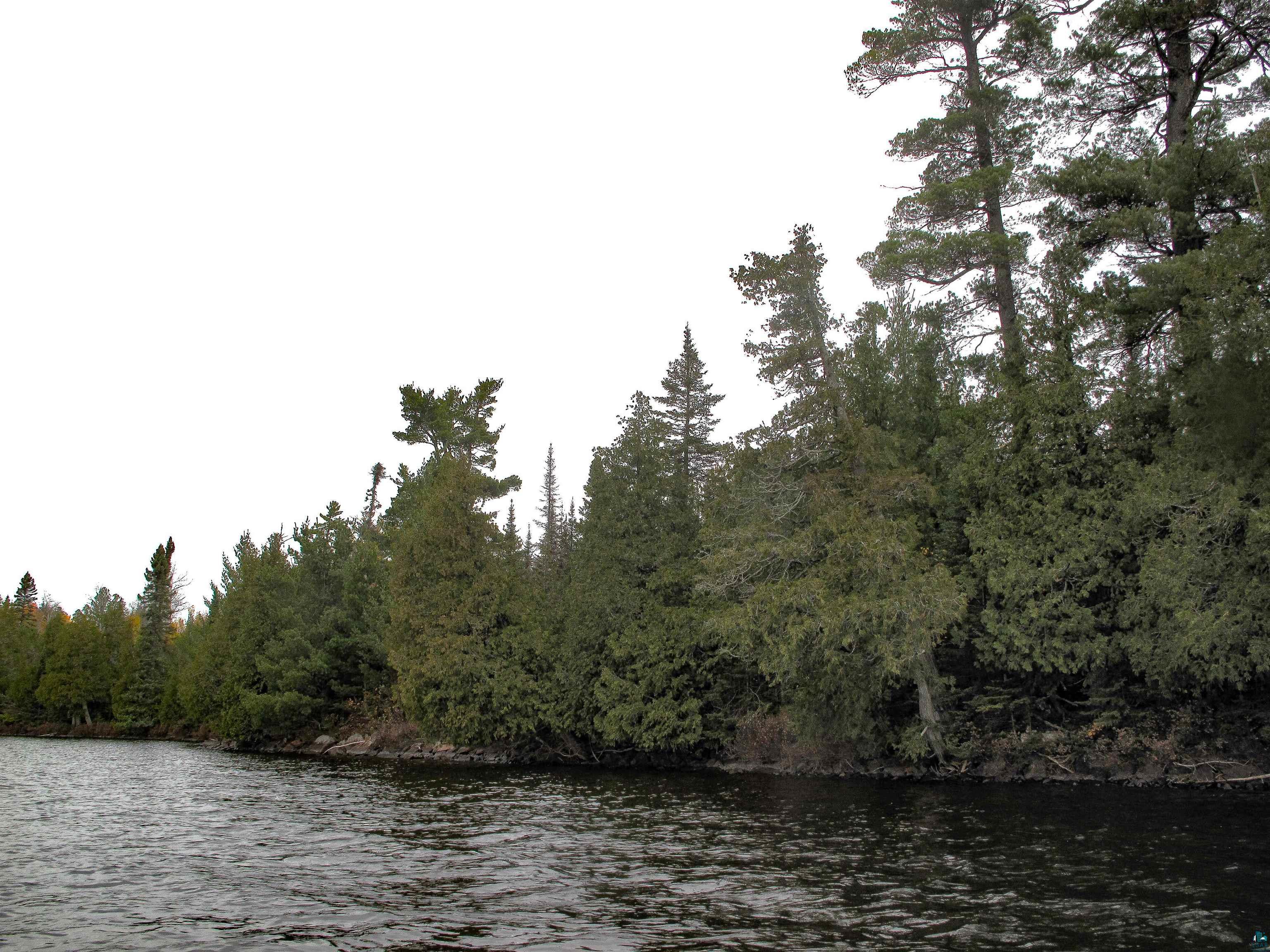 Lot 2 Fullerton Rd, Hovland, MN 55606 Listing Photo  17