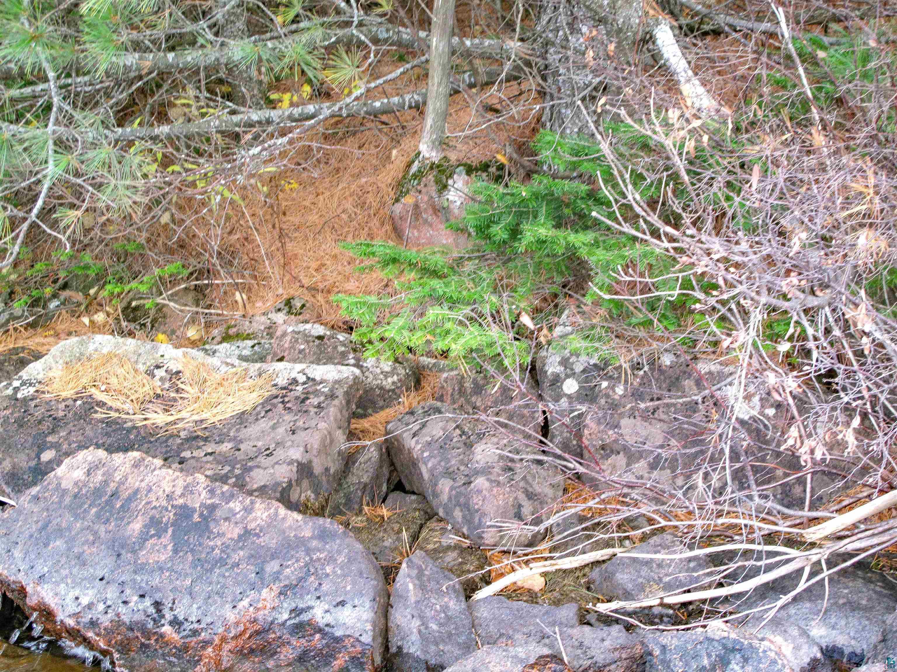Lot 2 Fullerton Rd, Hovland, MN 55606 Listing Photo  19