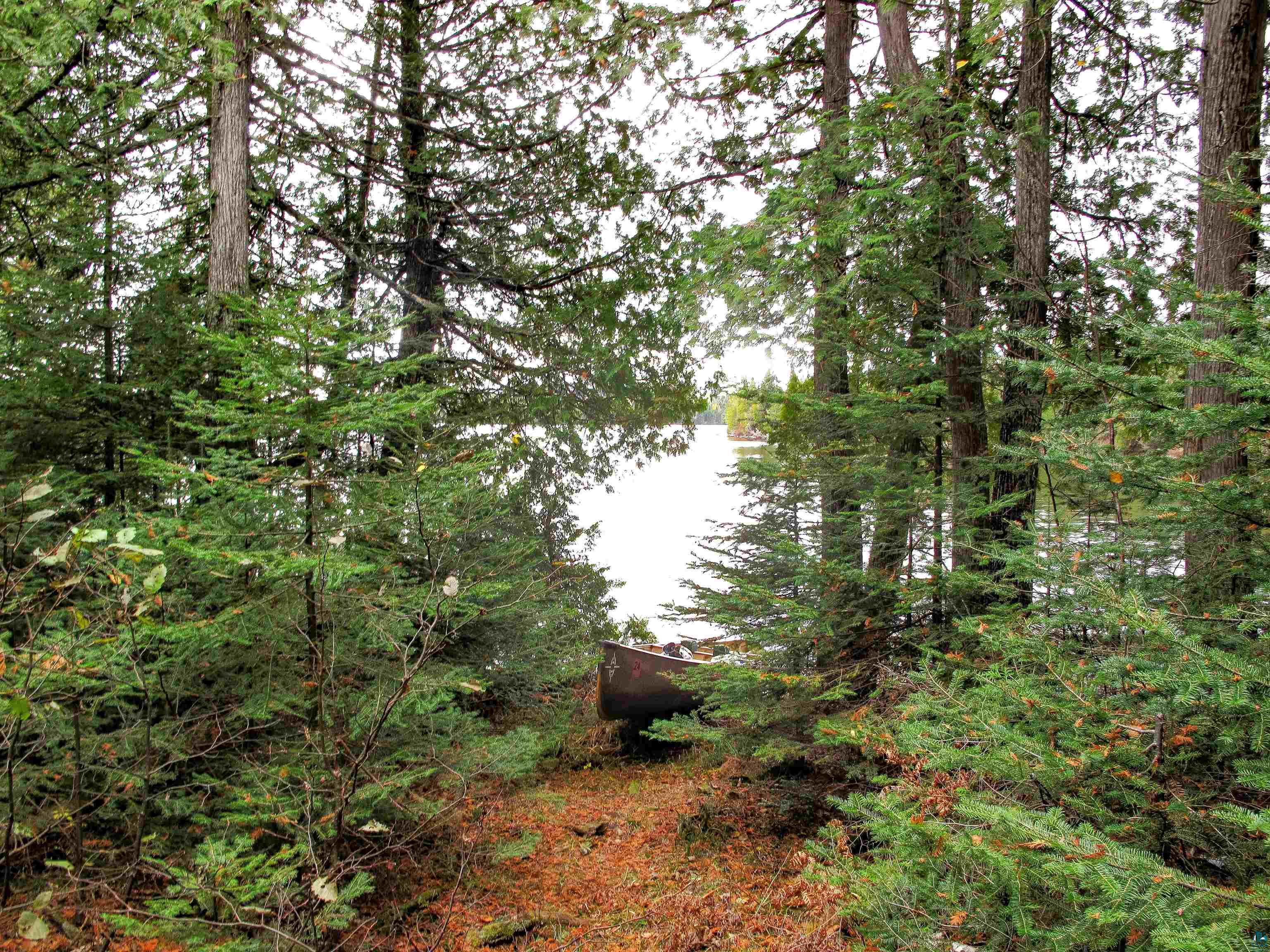 Lot 2 Fullerton Rd, Hovland, MN 55606 Listing Photo  20