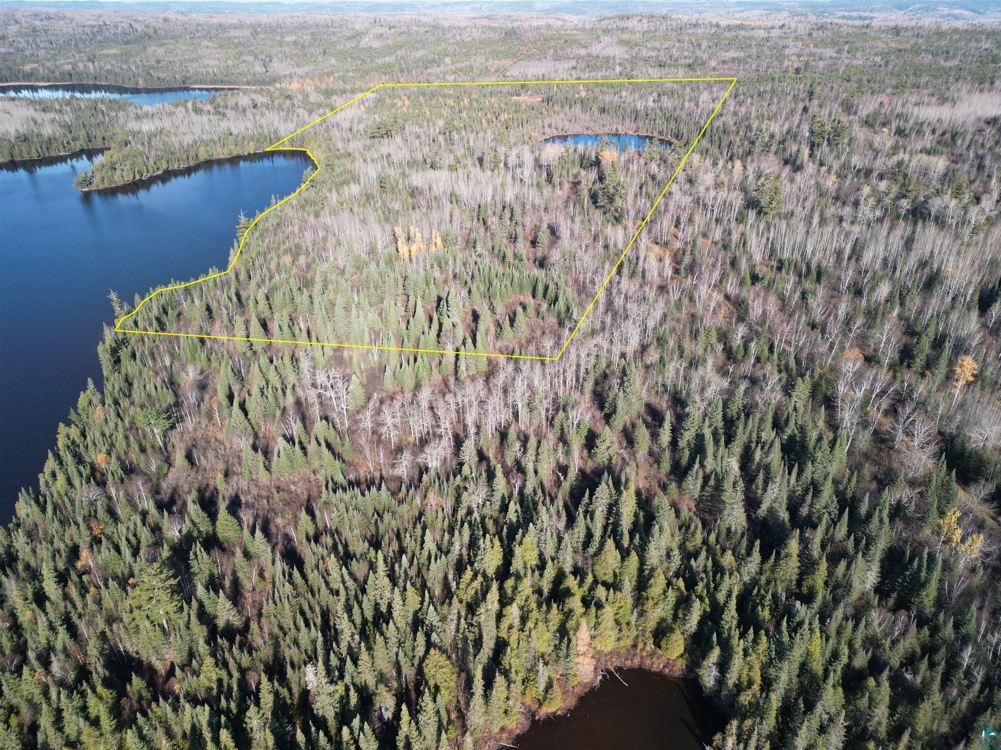 Lot 2 Fullerton Rd, Hovland, MN 55606 Listing Photo  3