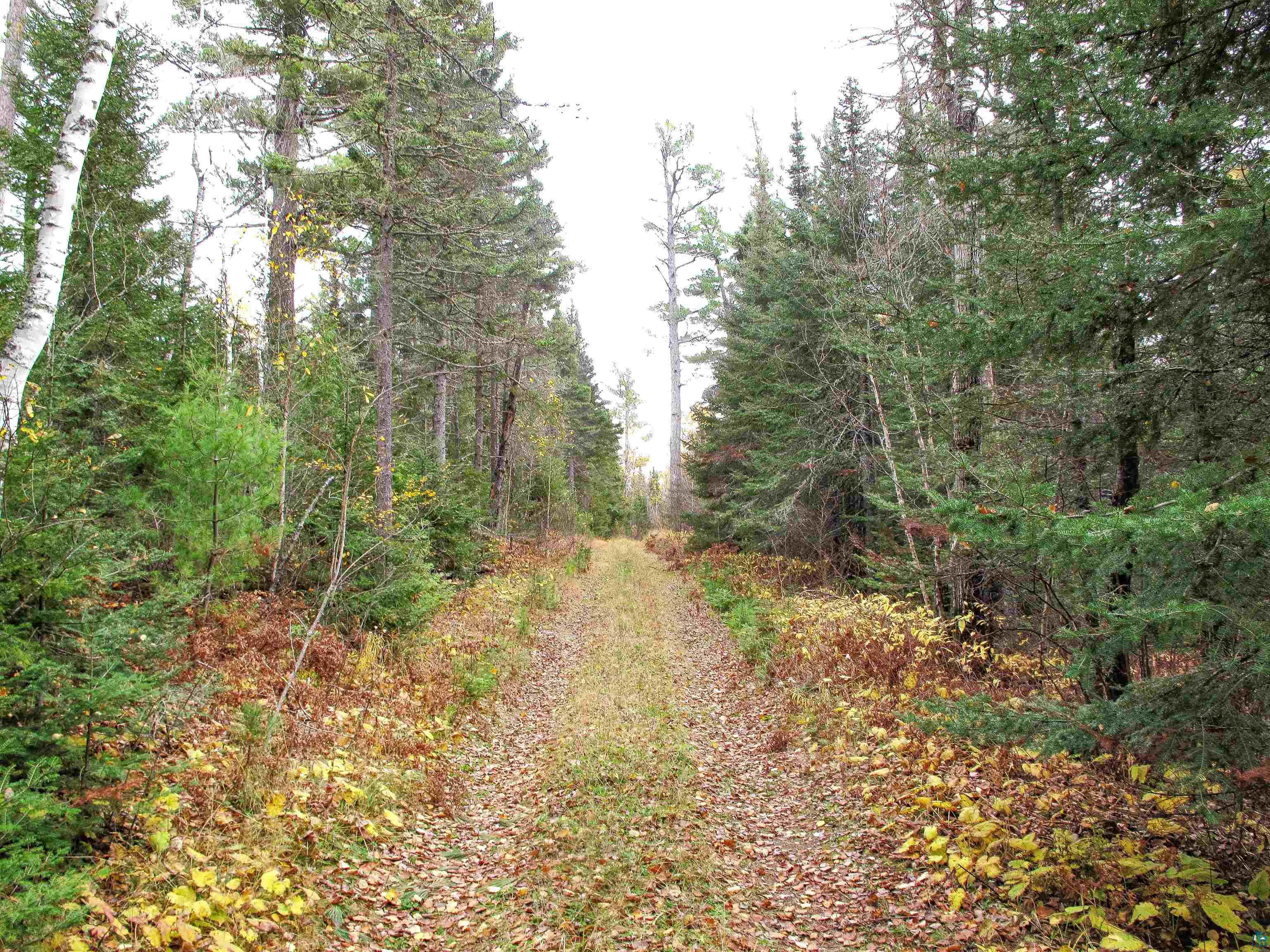 Lot 2 Fullerton Rd, Hovland, MN 55606 Listing Photo  24