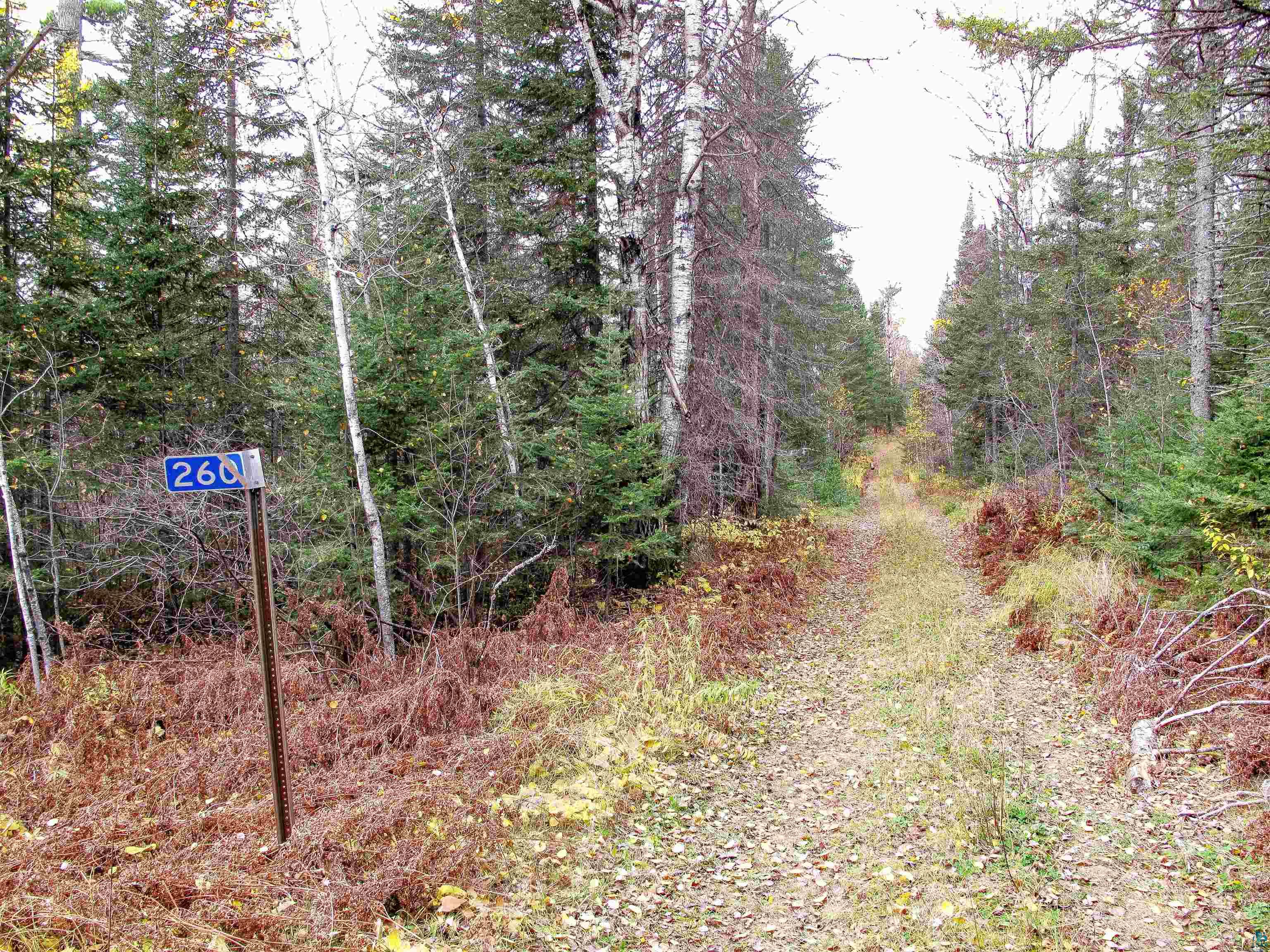Lot 2 Fullerton Rd, Hovland, MN 55606 Listing Photo  25