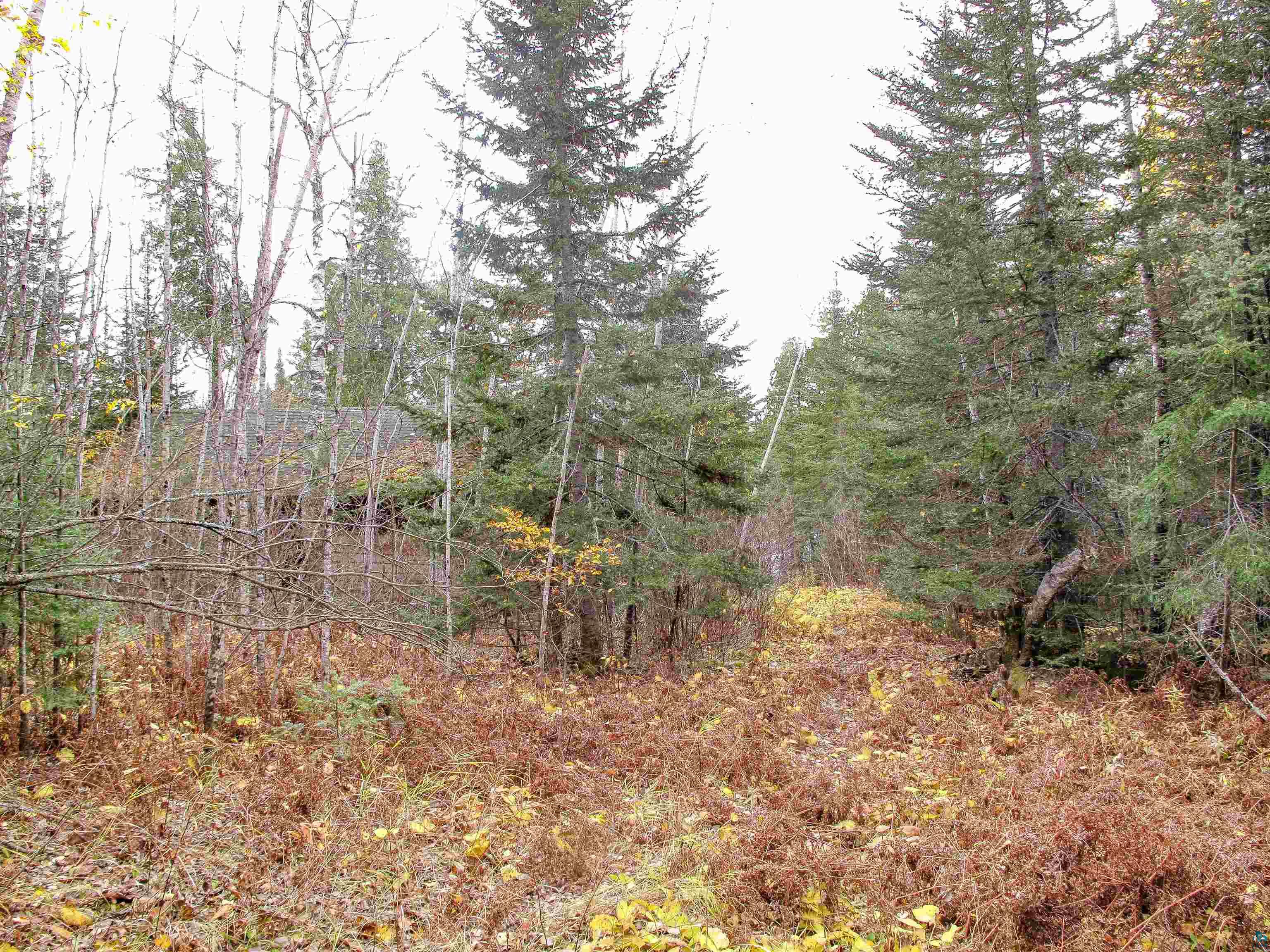 Lot 2 Fullerton Rd, Hovland, MN 55606 Listing Photo  26