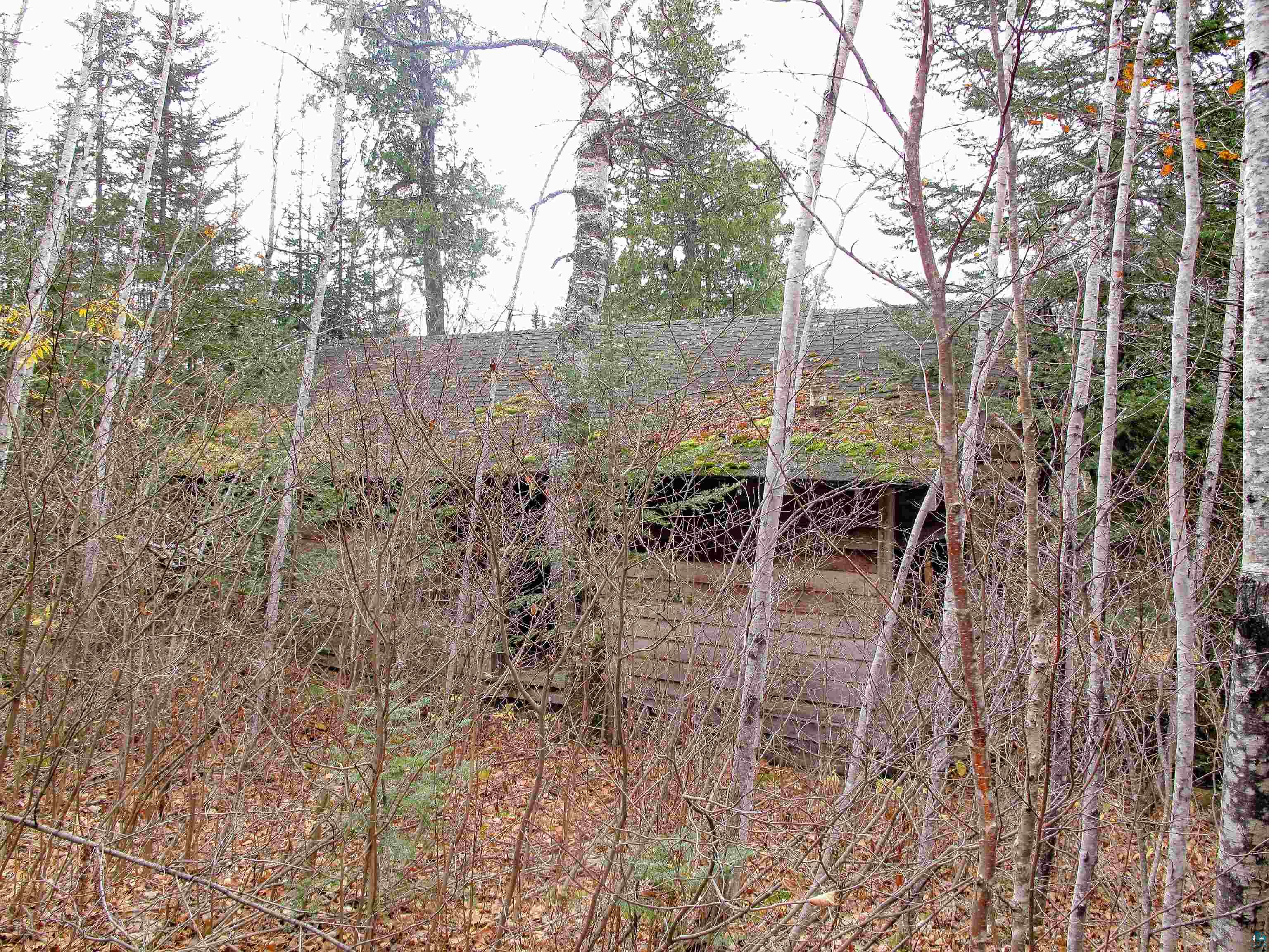 Lot 2 Fullerton Rd, Hovland, MN 55606 Listing Photo  27