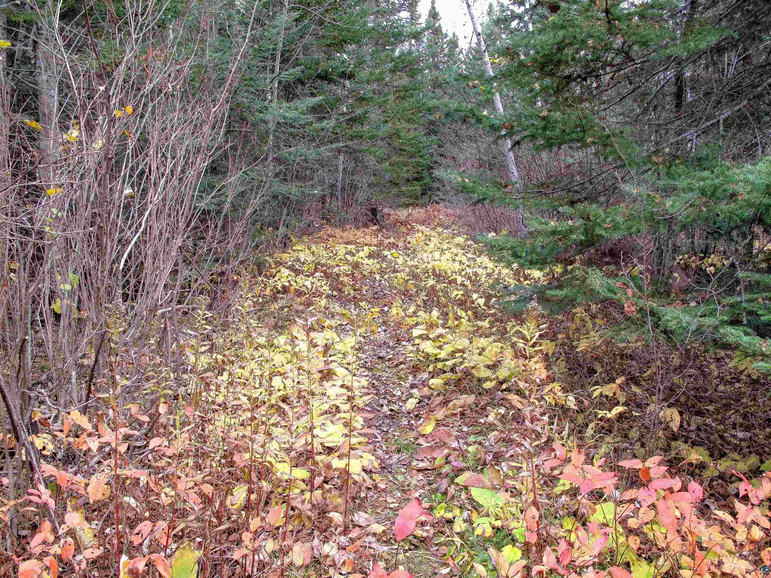 Lot 2 Fullerton Rd, Hovland, MN 55606 Listing Photo  28