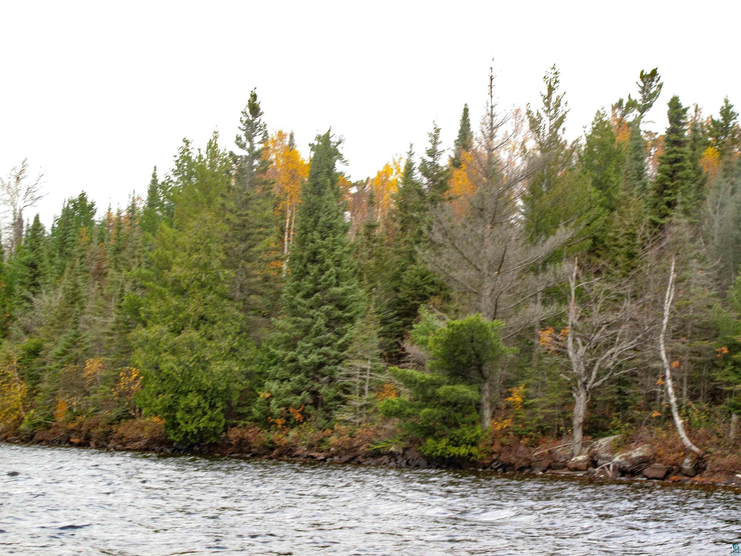 Lot 2 Fullerton Rd, Hovland, MN 55606 Listing Photo  6