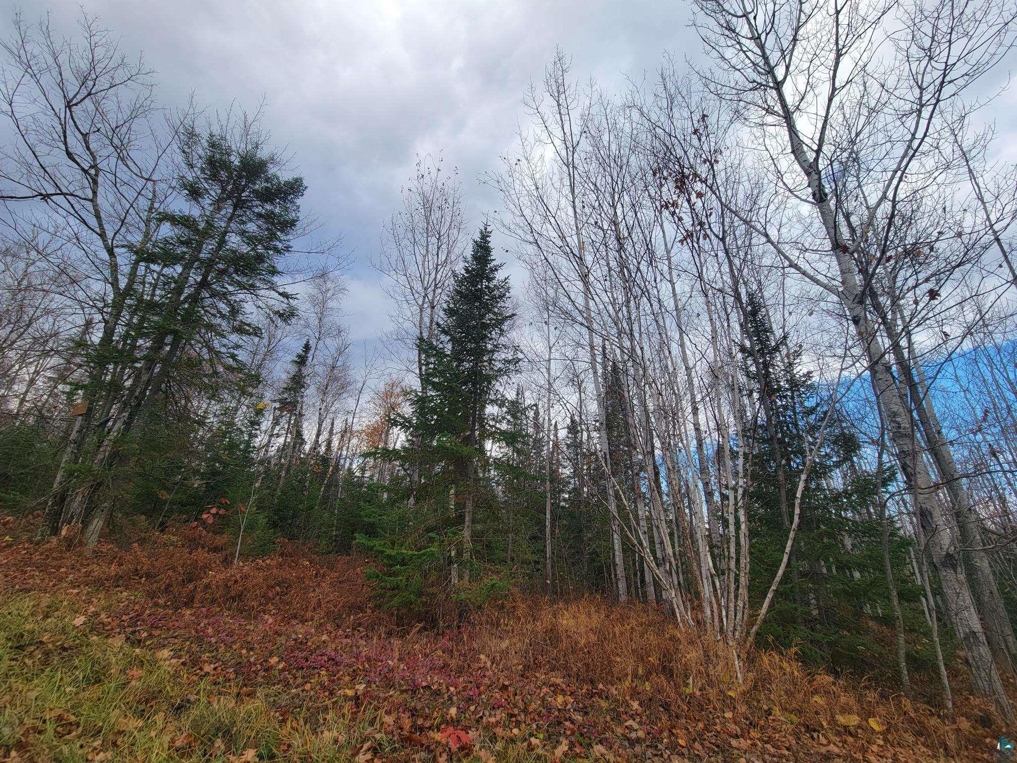85255 Ravine Rd, Port Wing, WI 54865 Listing Photo  30
