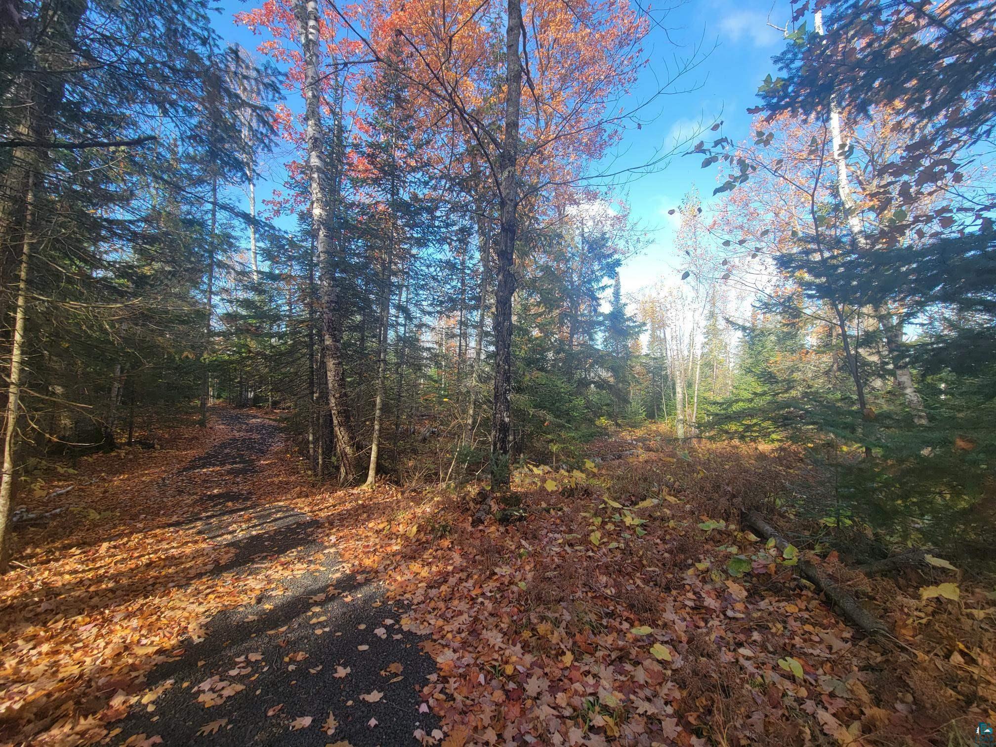 85255 Ravine Rd, Port Wing, WI 54865 Listing Photo  33