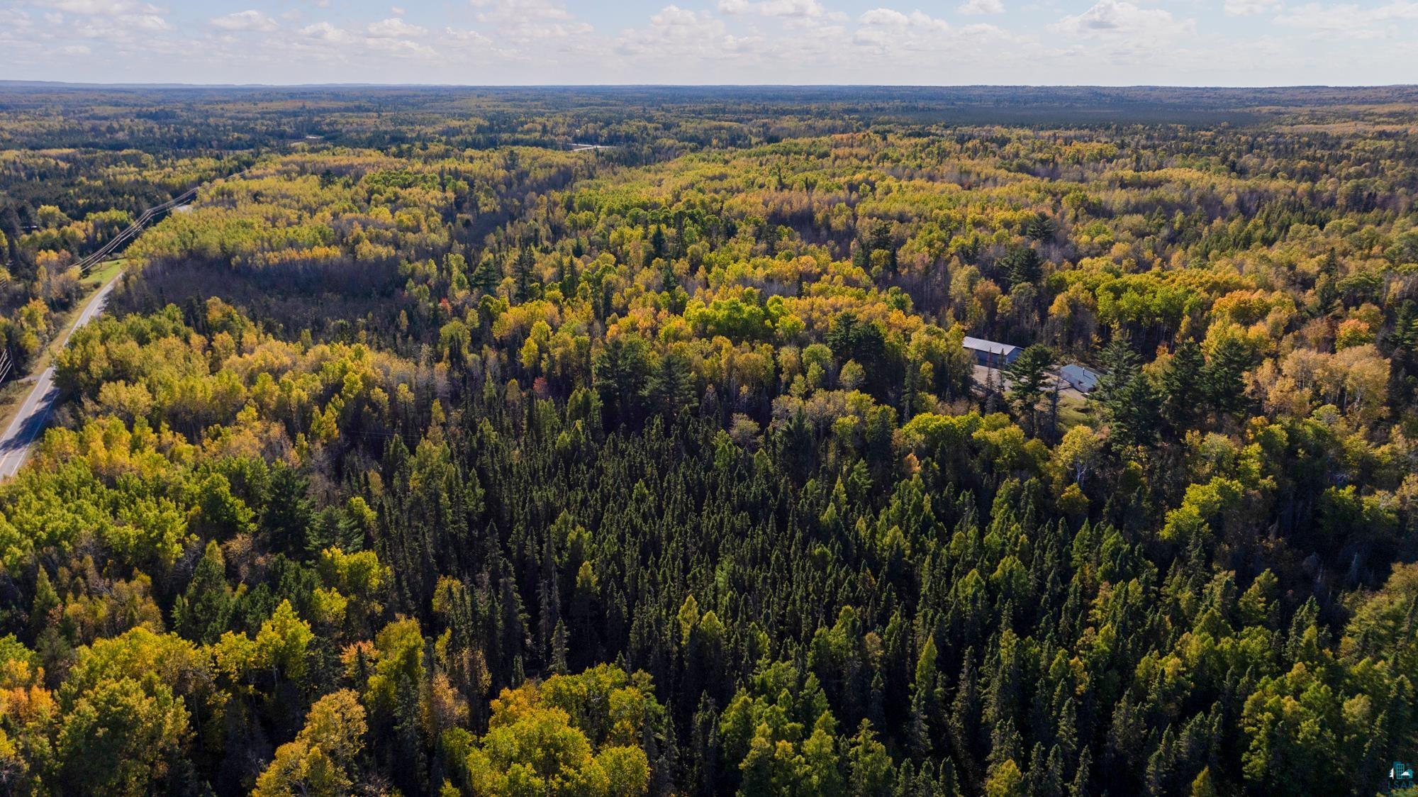 1365 S White Iron Rd, Ely, MN 55731 Listing Photo  91