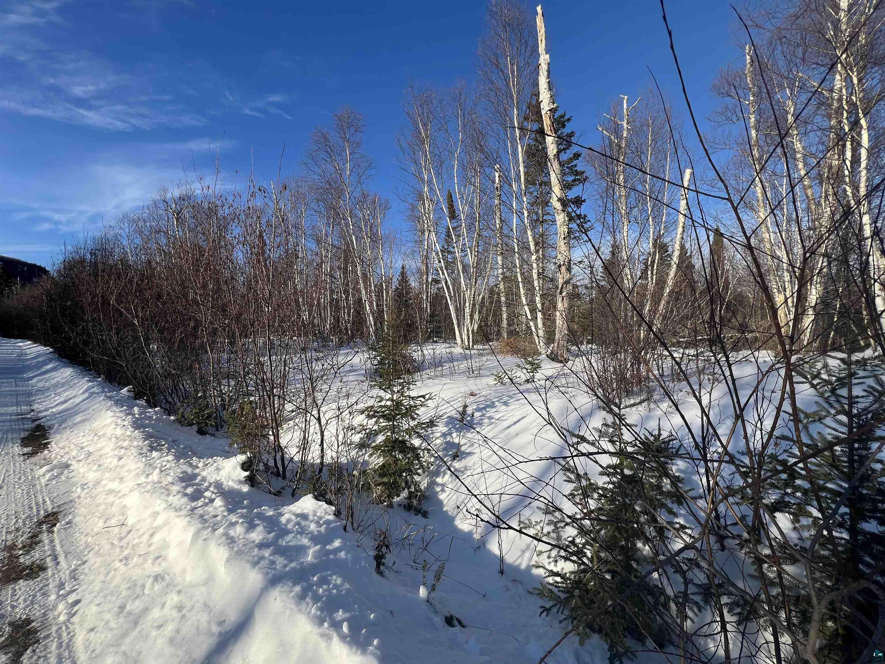 118 Rollins Ridge, Tofte, MN 55615 Listing Photo  3