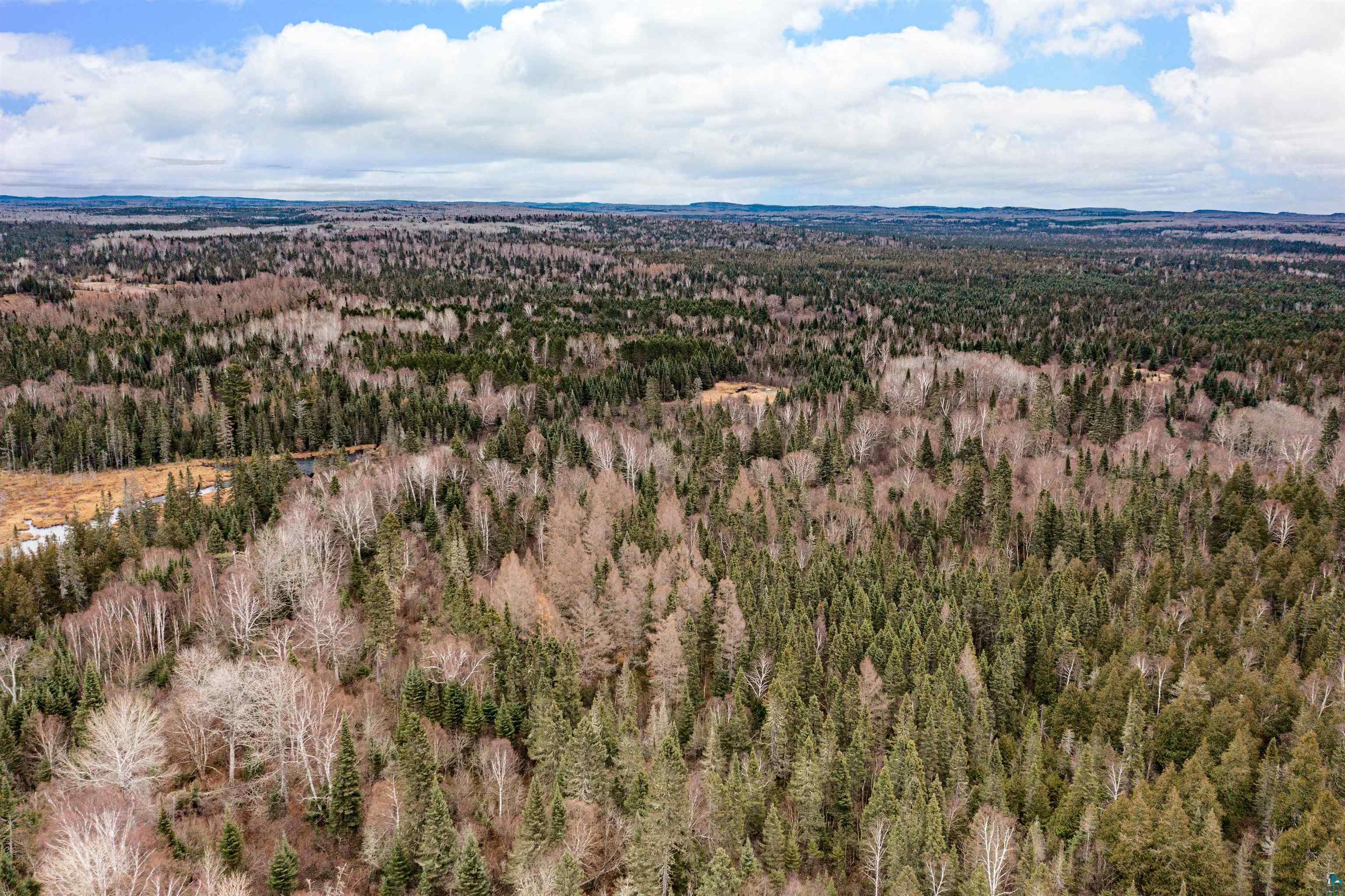 2760 Caribou Tr, Lutsen, MN 55612 Listing Photo  7