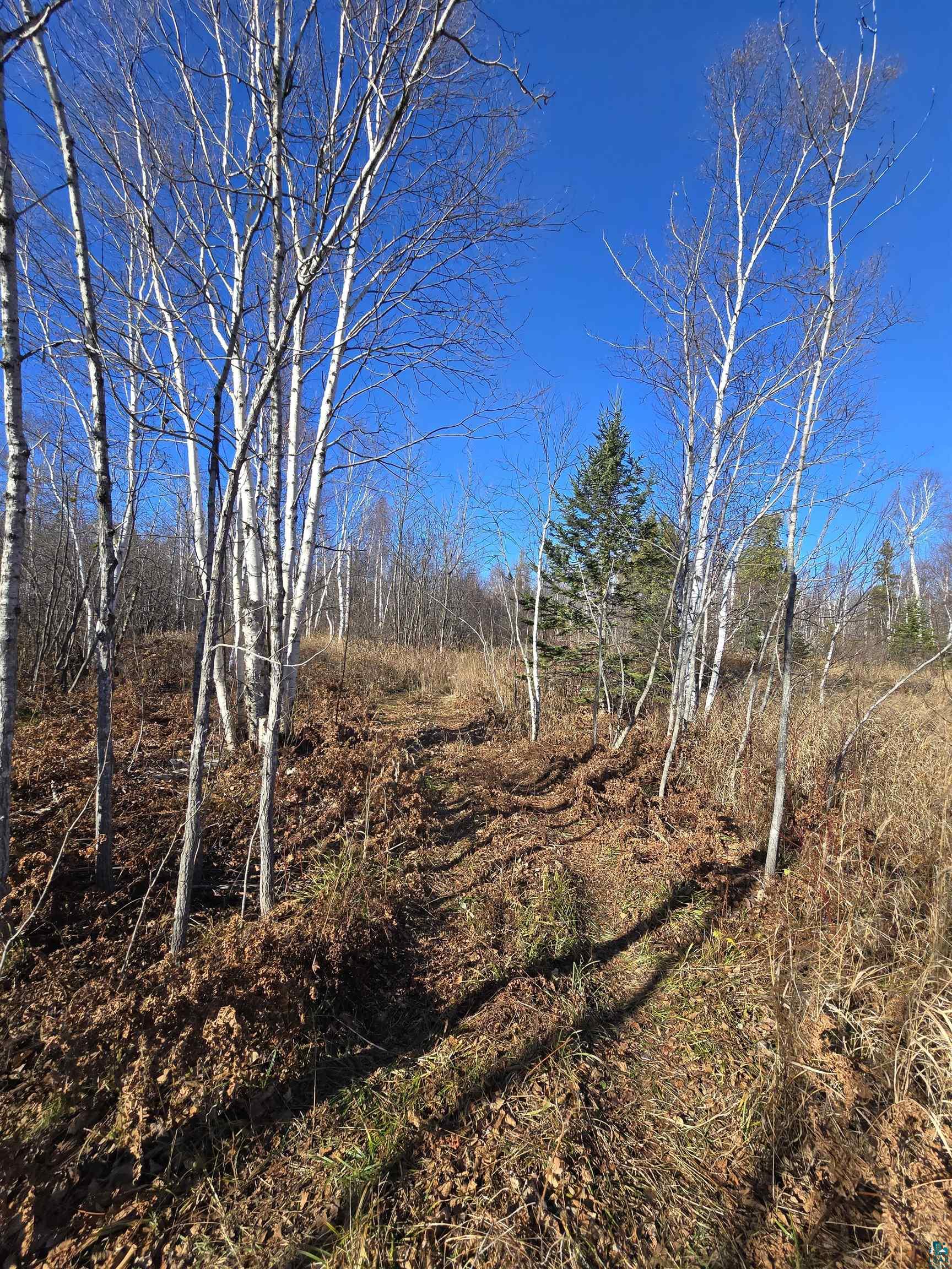 6669 Little Marais Trl, Silver Bay, MN 55614 Listing Photo  16