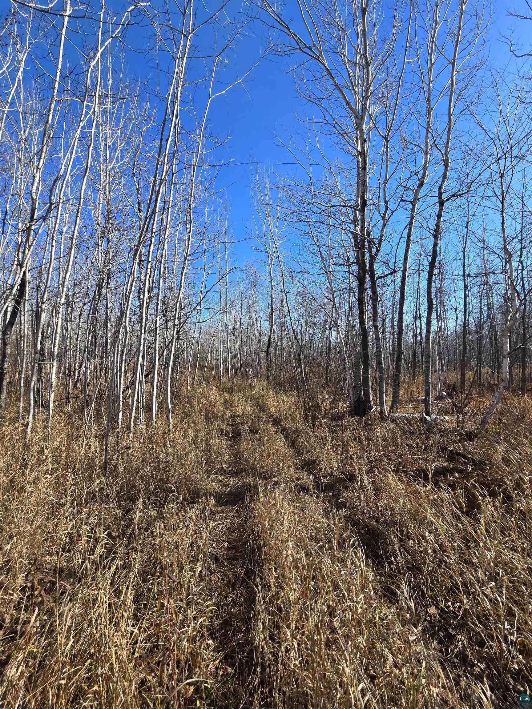 6669 Little Marais Trl, Silver Bay, MN 55614 Listing Photo  18