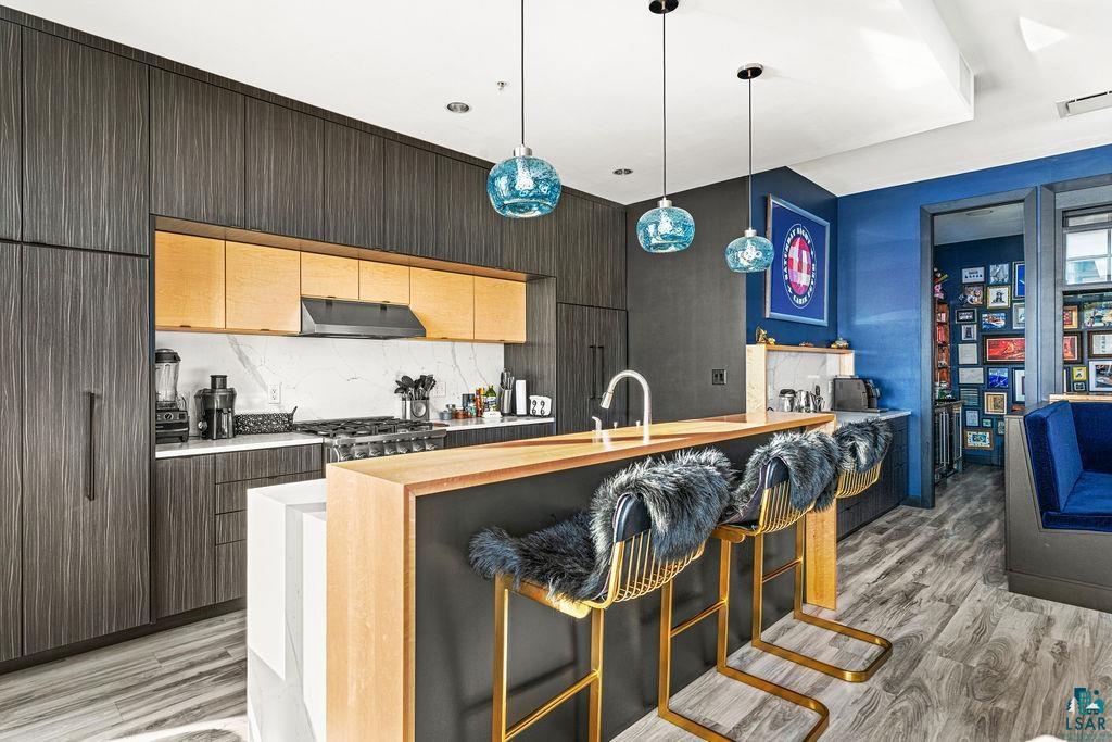 311 E Superior St, #905, Duluth, MN 55802 Listing Photo  23